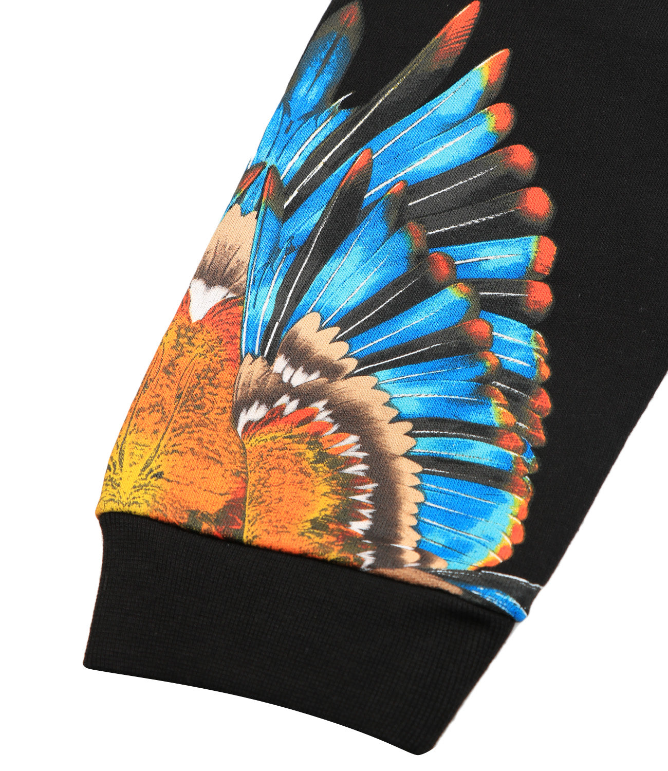 Pantalone Sportivo Ali di Grizzly Nero