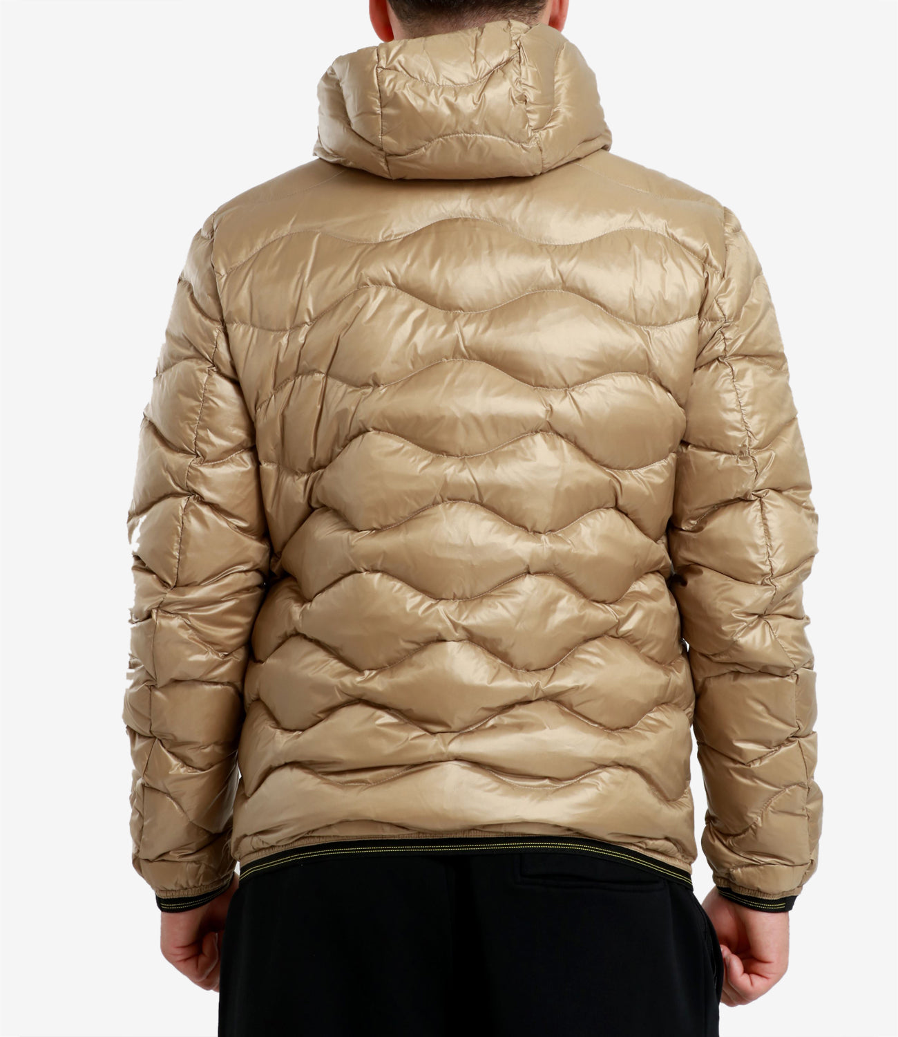 Blauer | Biscuit Jacket