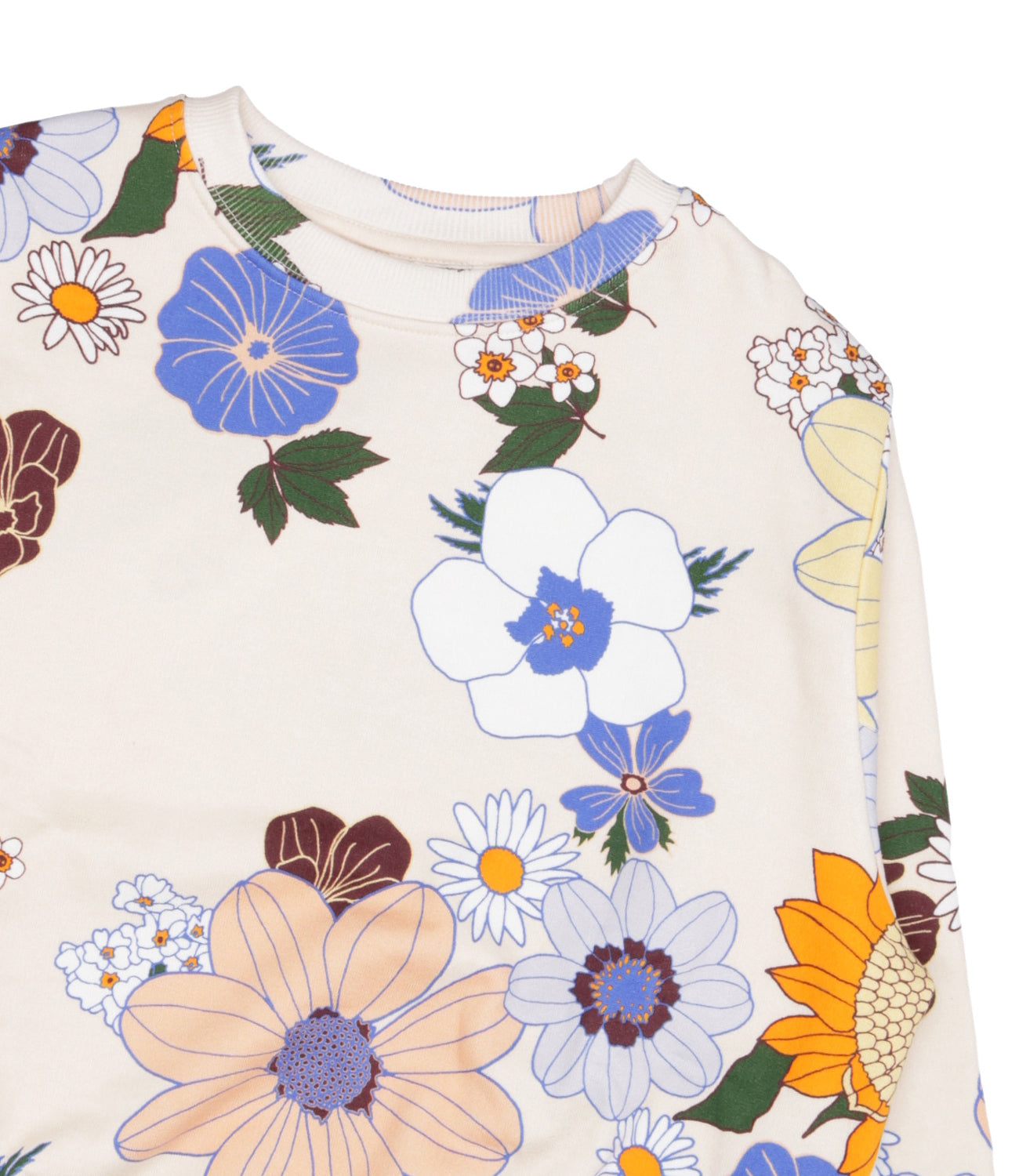 Molo | Maxime Multicolor Sweatshirt