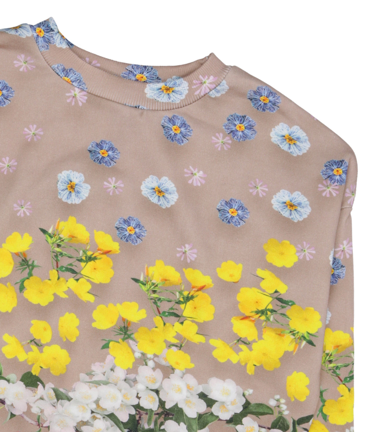 Molo | Felpa Maxi Cammello e Giallo