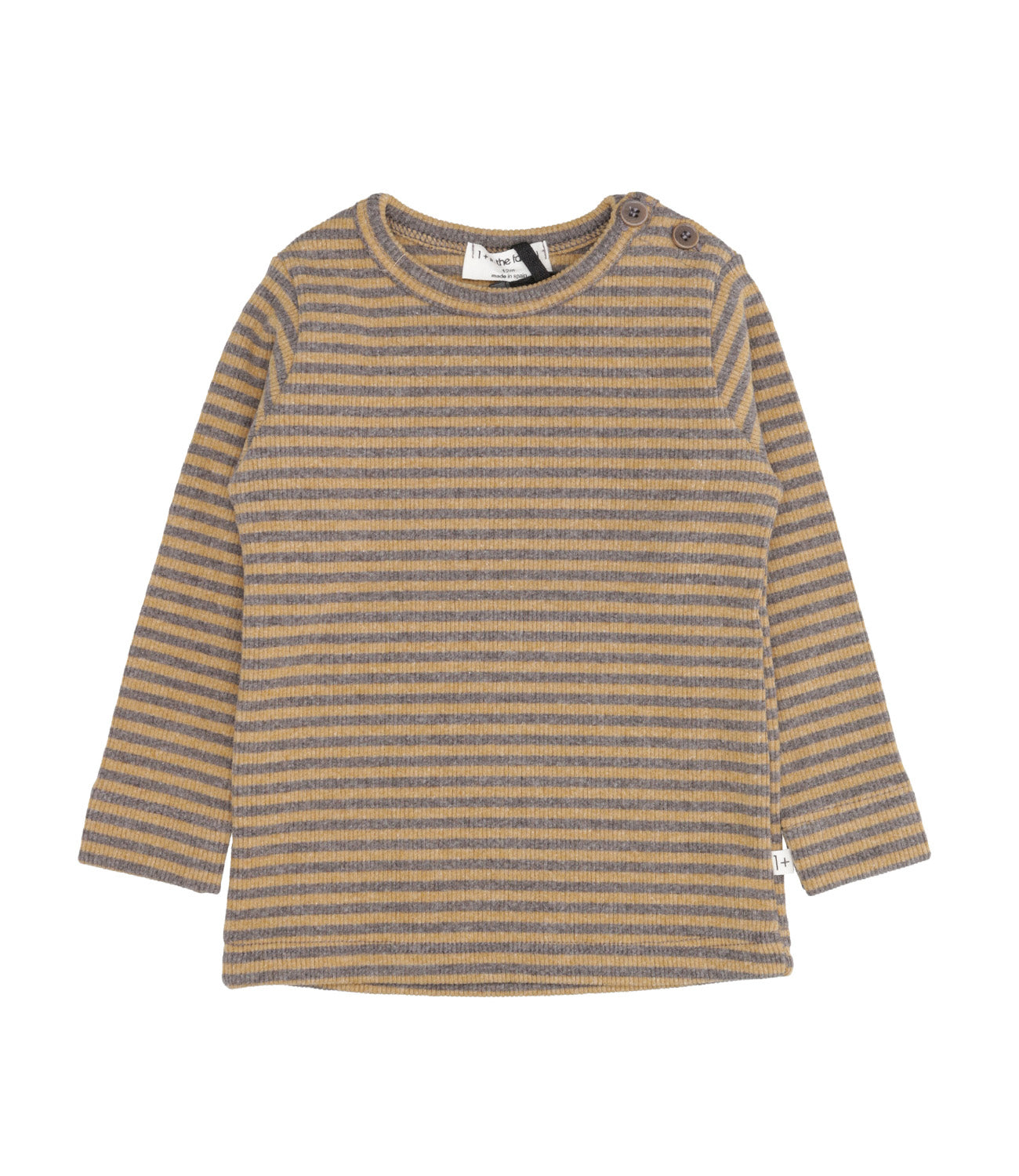 1+ in the family | Jersey Ochre