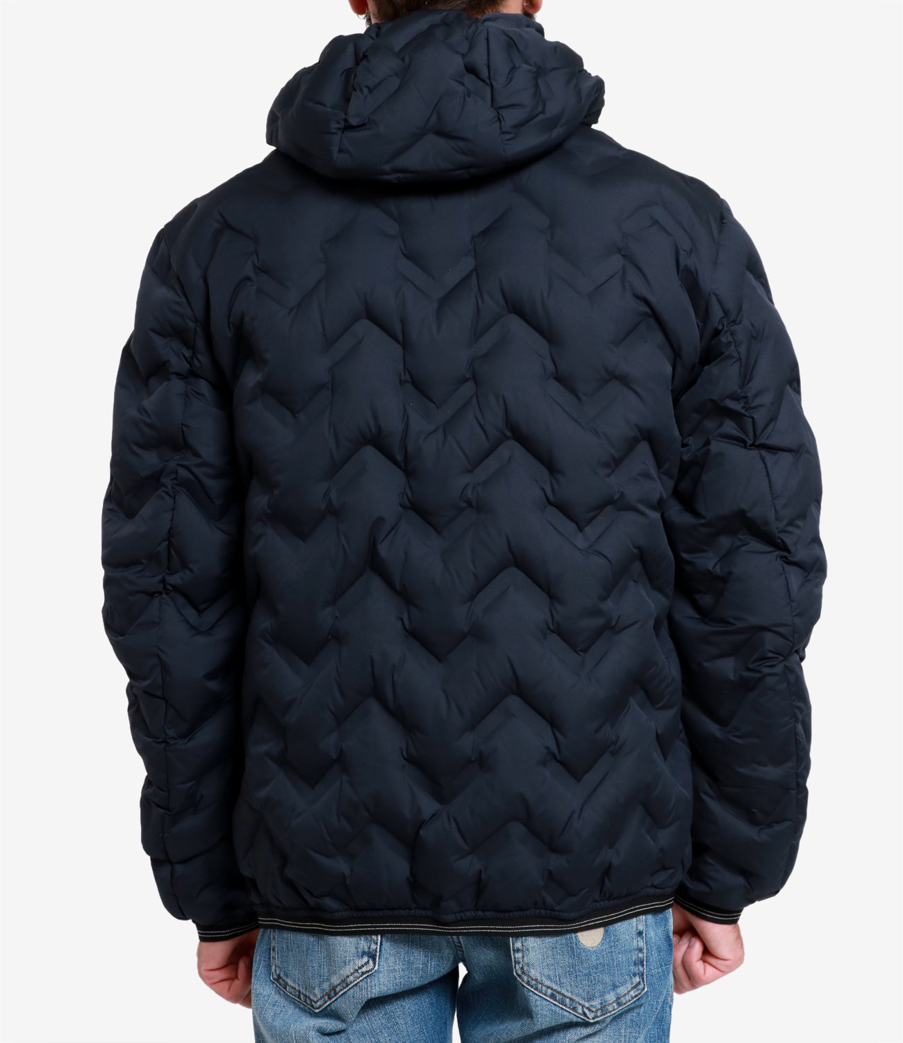 Blauer | Piumino Pier Blu navy