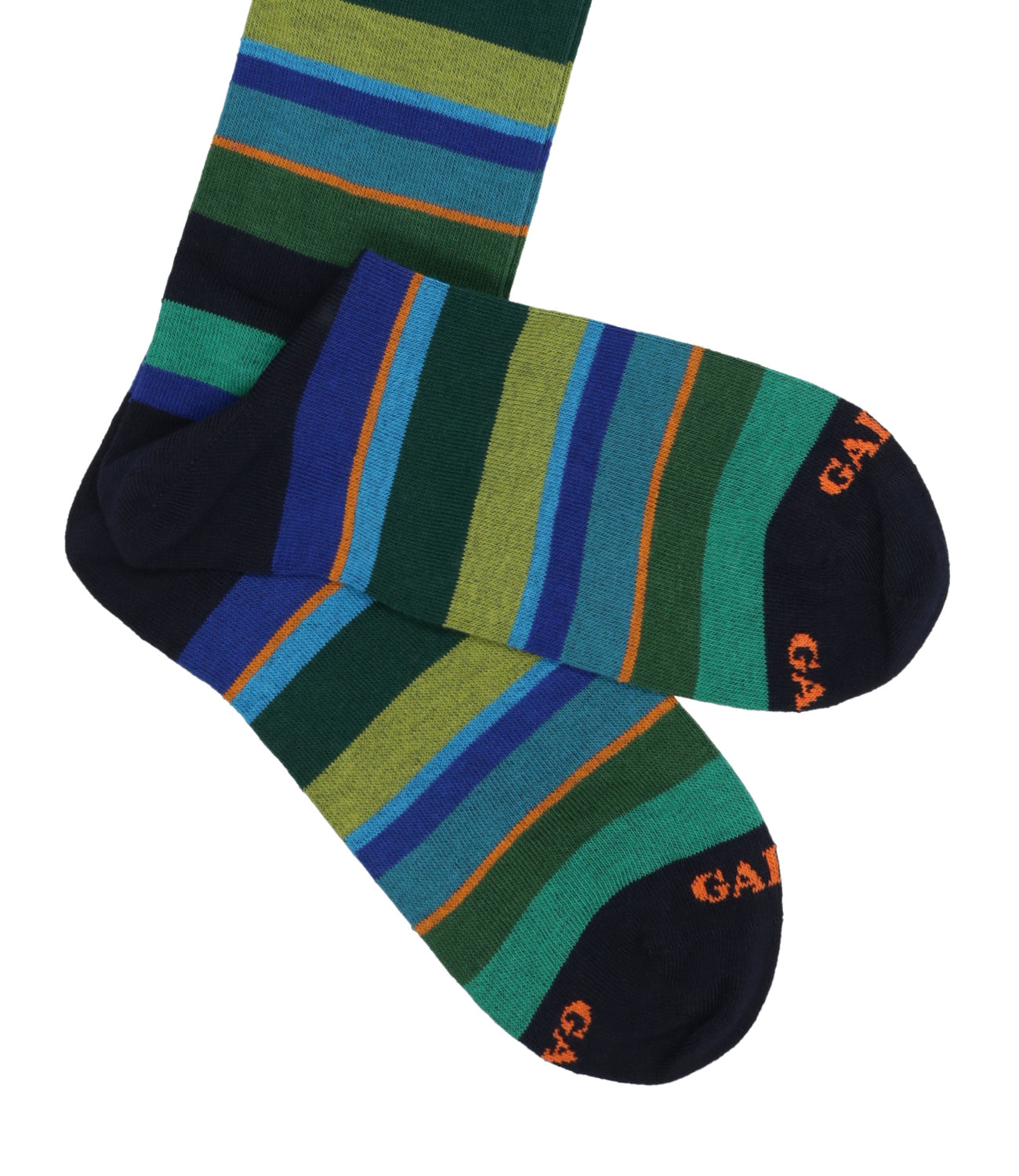 Rooster | Navy Blue and Green Socks