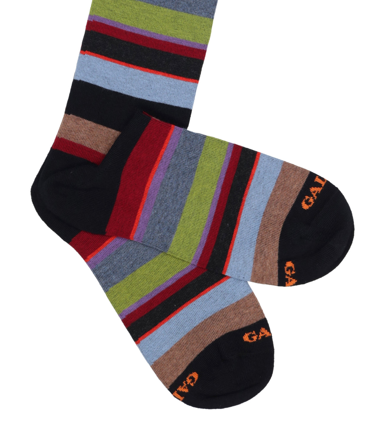 Gallo | Navy Blue and Wine Socks