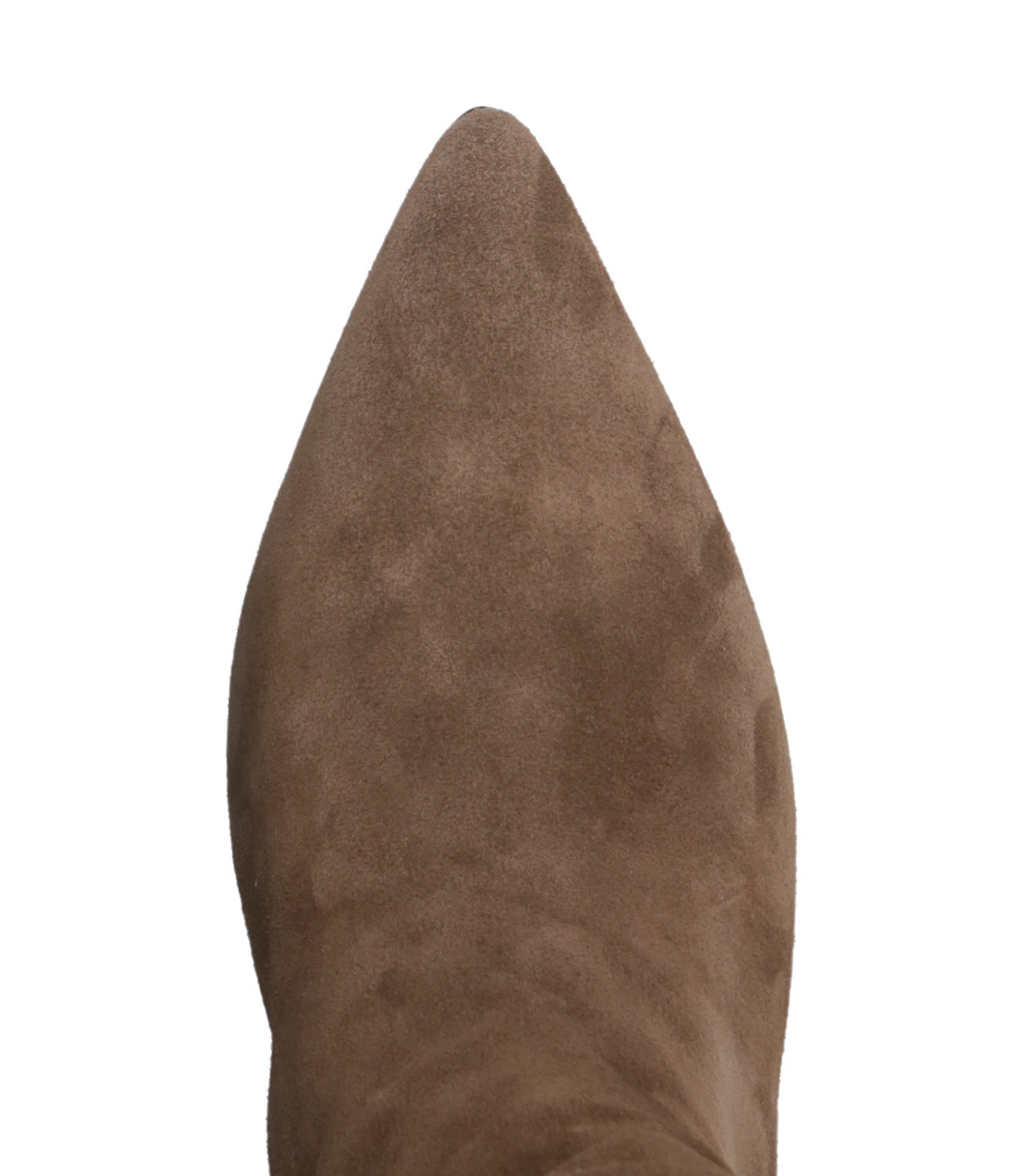 Ash Main | Stivale Violet Taupe