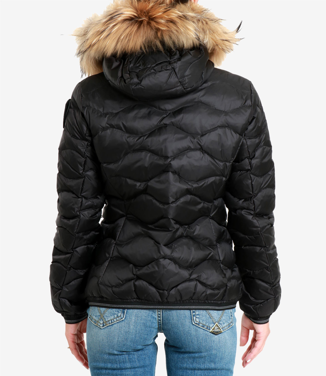 Blauer | Piumino Aldie Nero e Beige