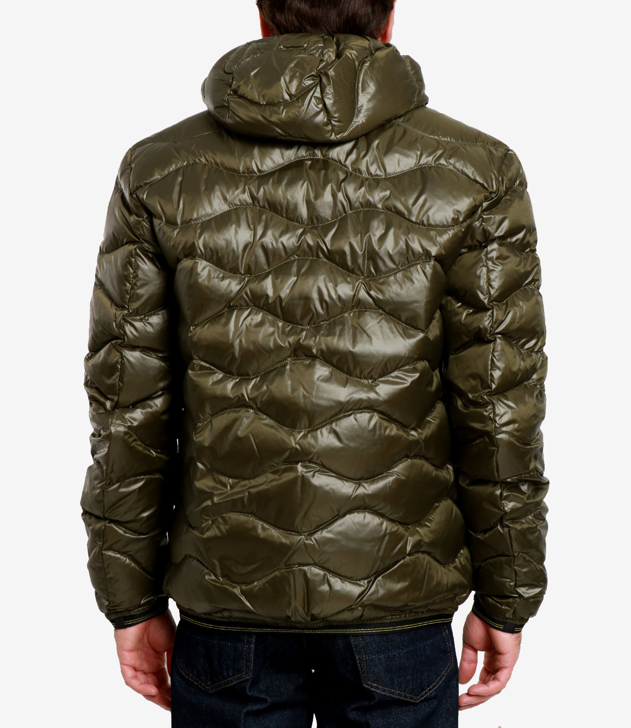 Blauer | Piumino Wave Verde Bosco