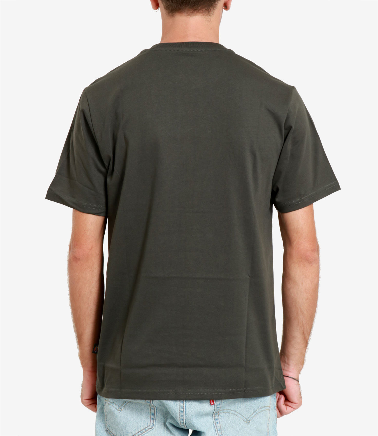Dickies | T-Shirt Mapleton Verde oliva