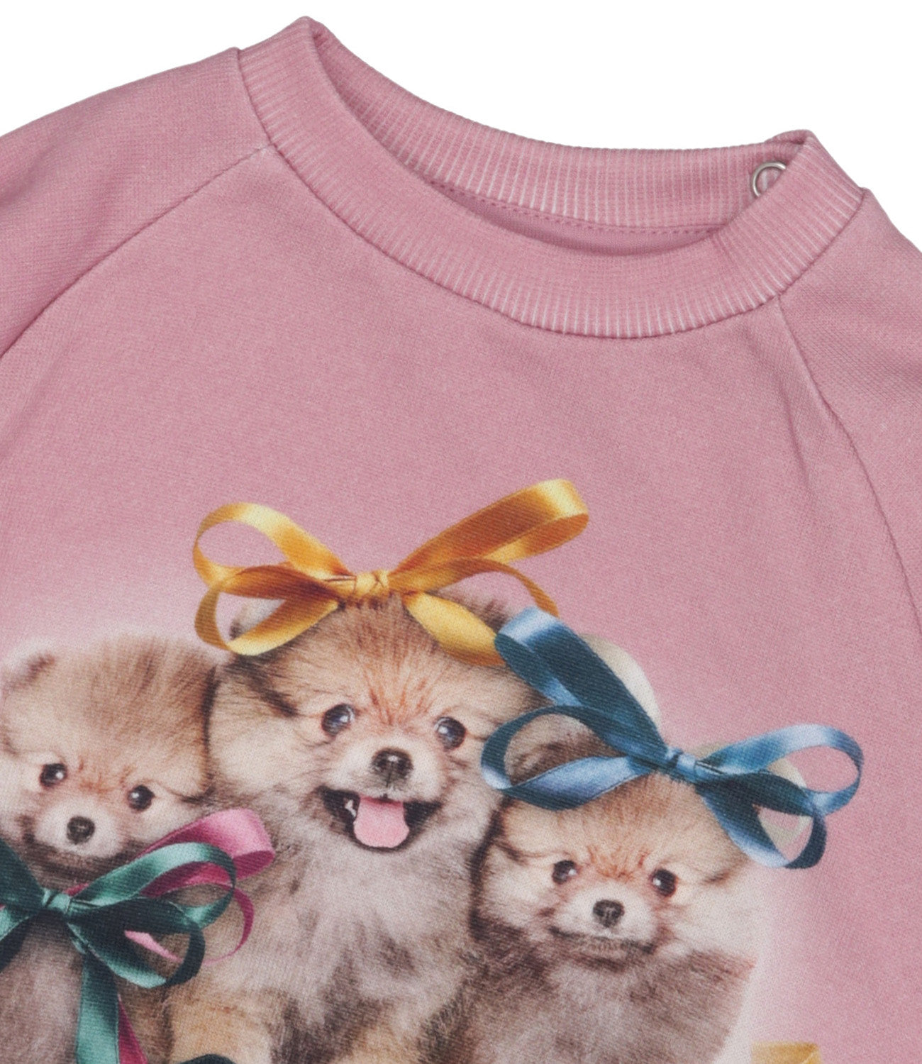 Molo | Felpa Orchidea