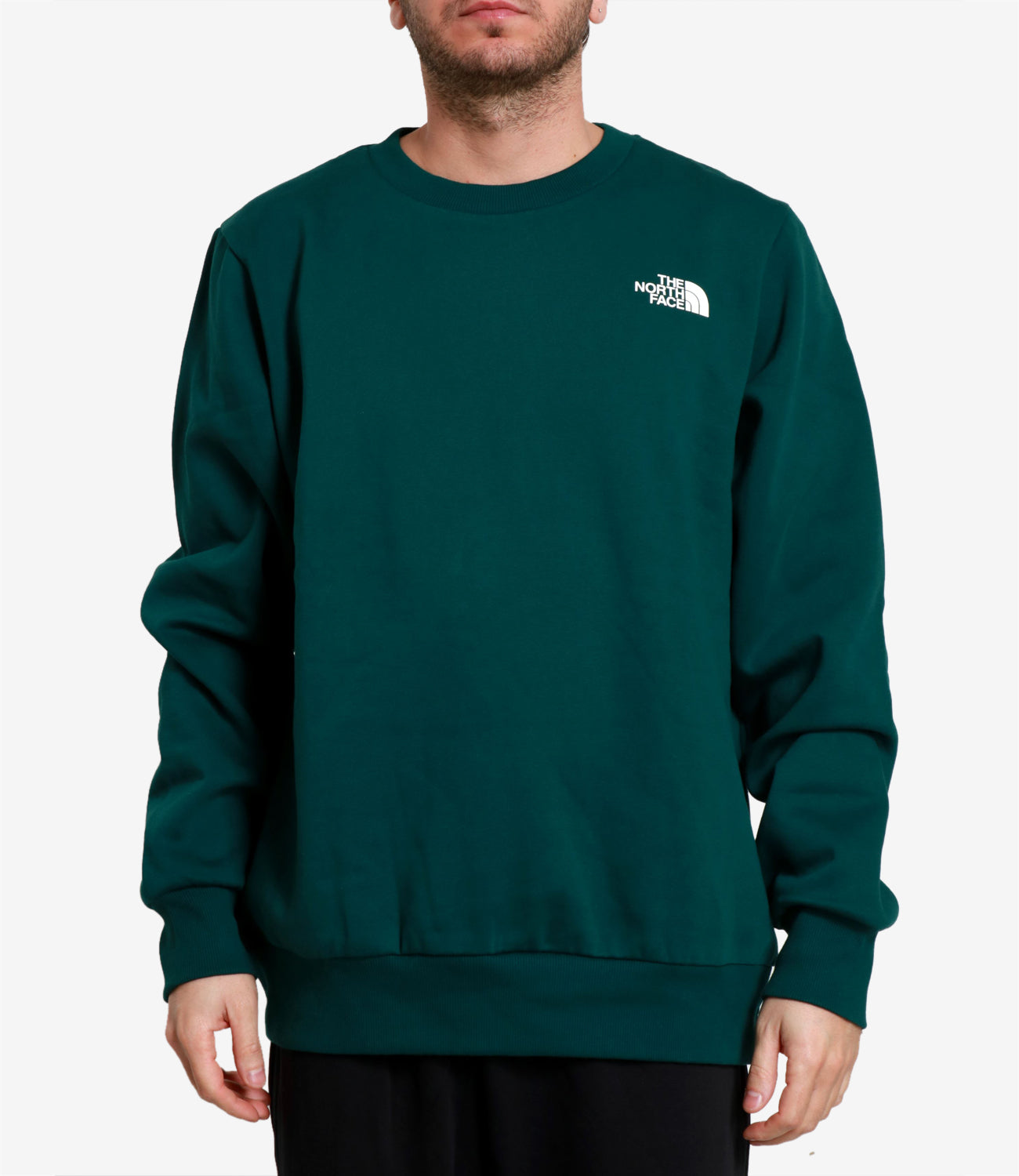 The North Face | Felpa Simple Dome Verde bottiglia