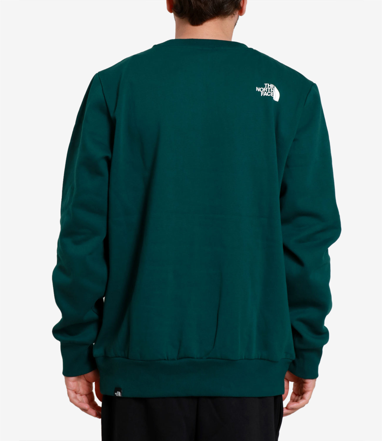 The North Face | Felpa Simple Dome Verde bottiglia