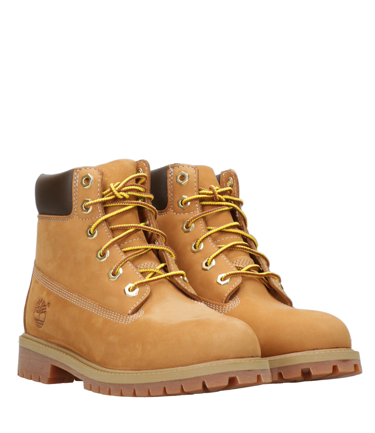 Timberland | Anfibio Prem 6 In Lace Waterproof Beige
