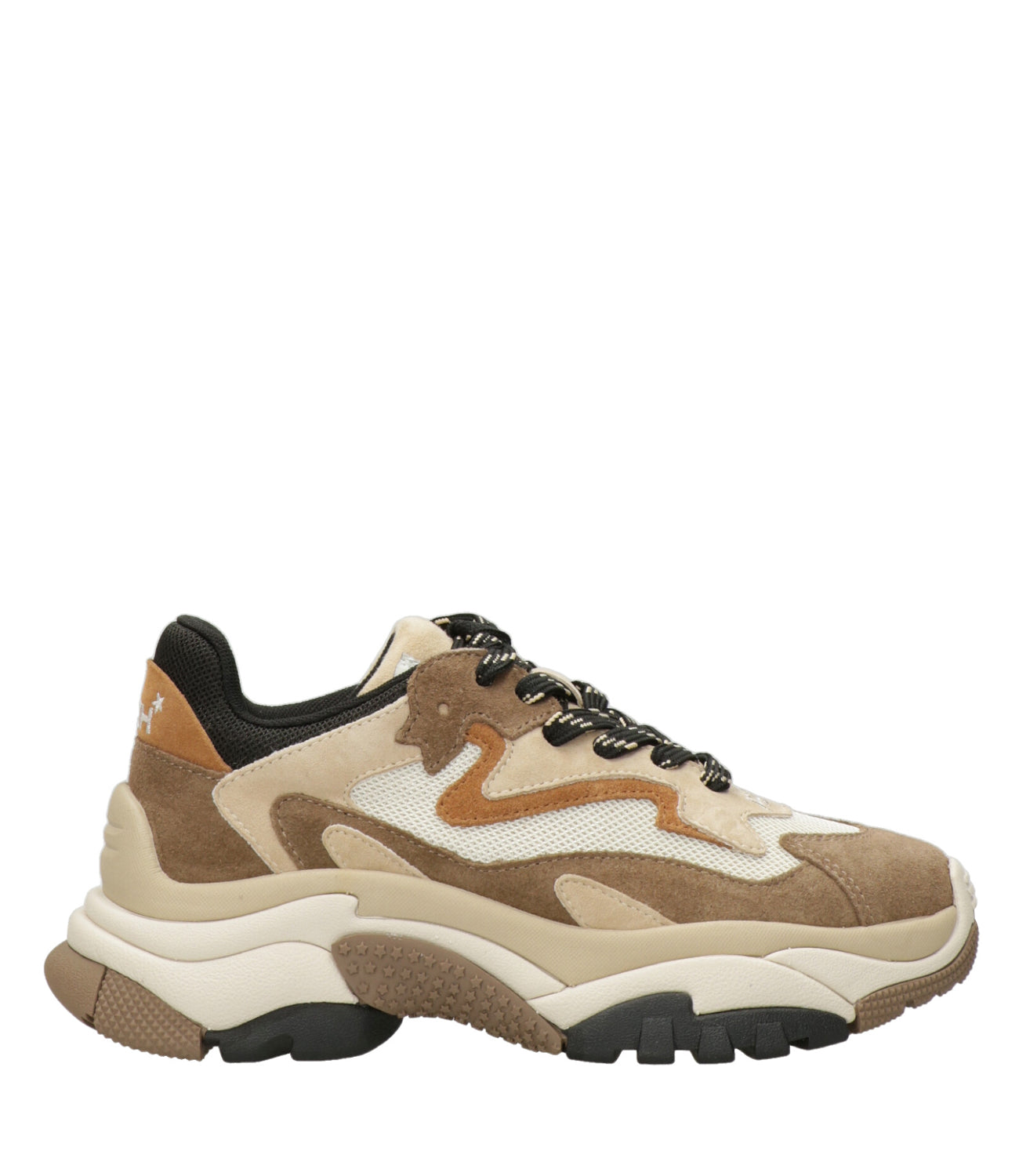 Ash Sport | Sneakers Addict Cappuccino
