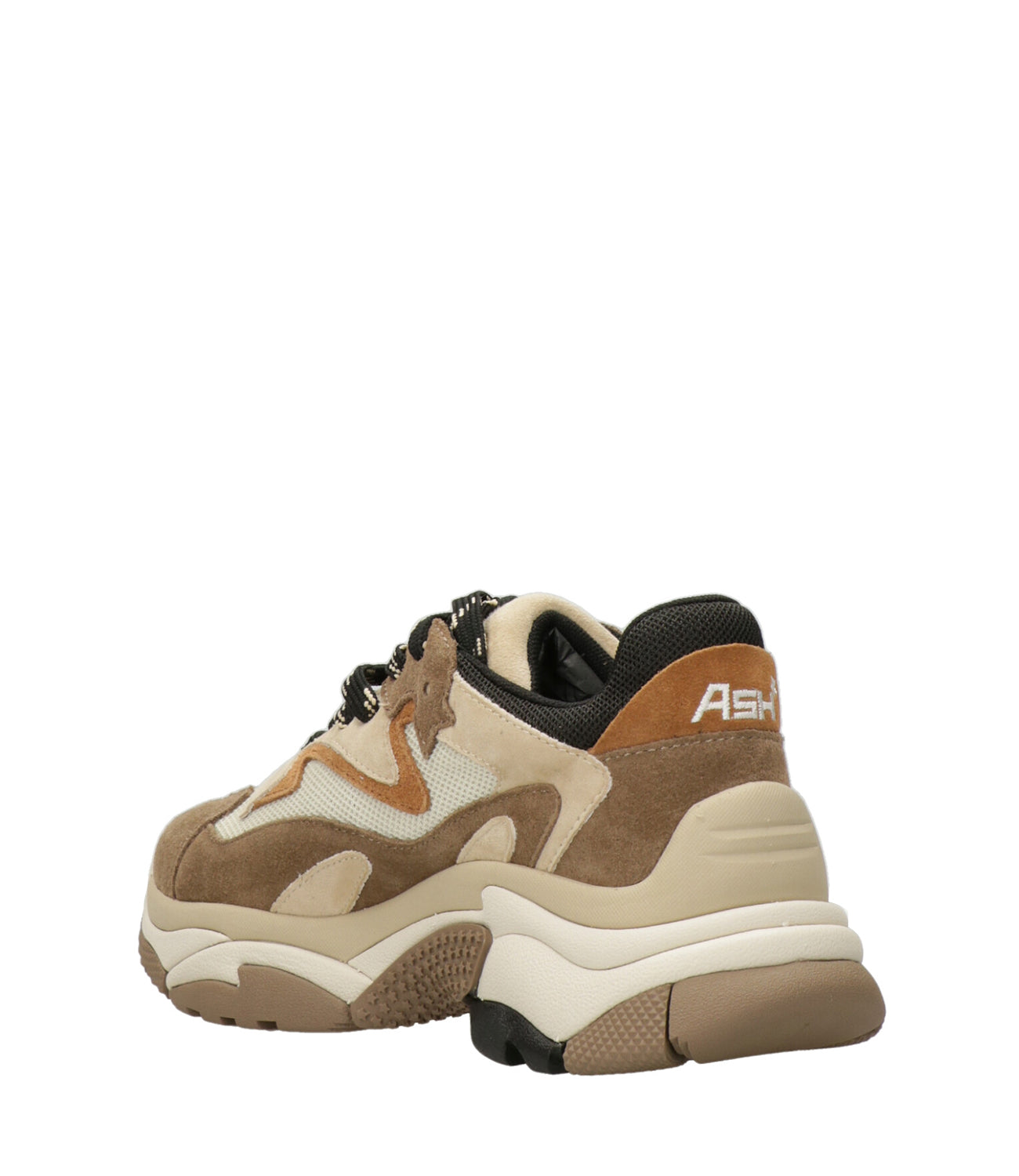 Ash Sport | Sneakers Addict Cappuccino