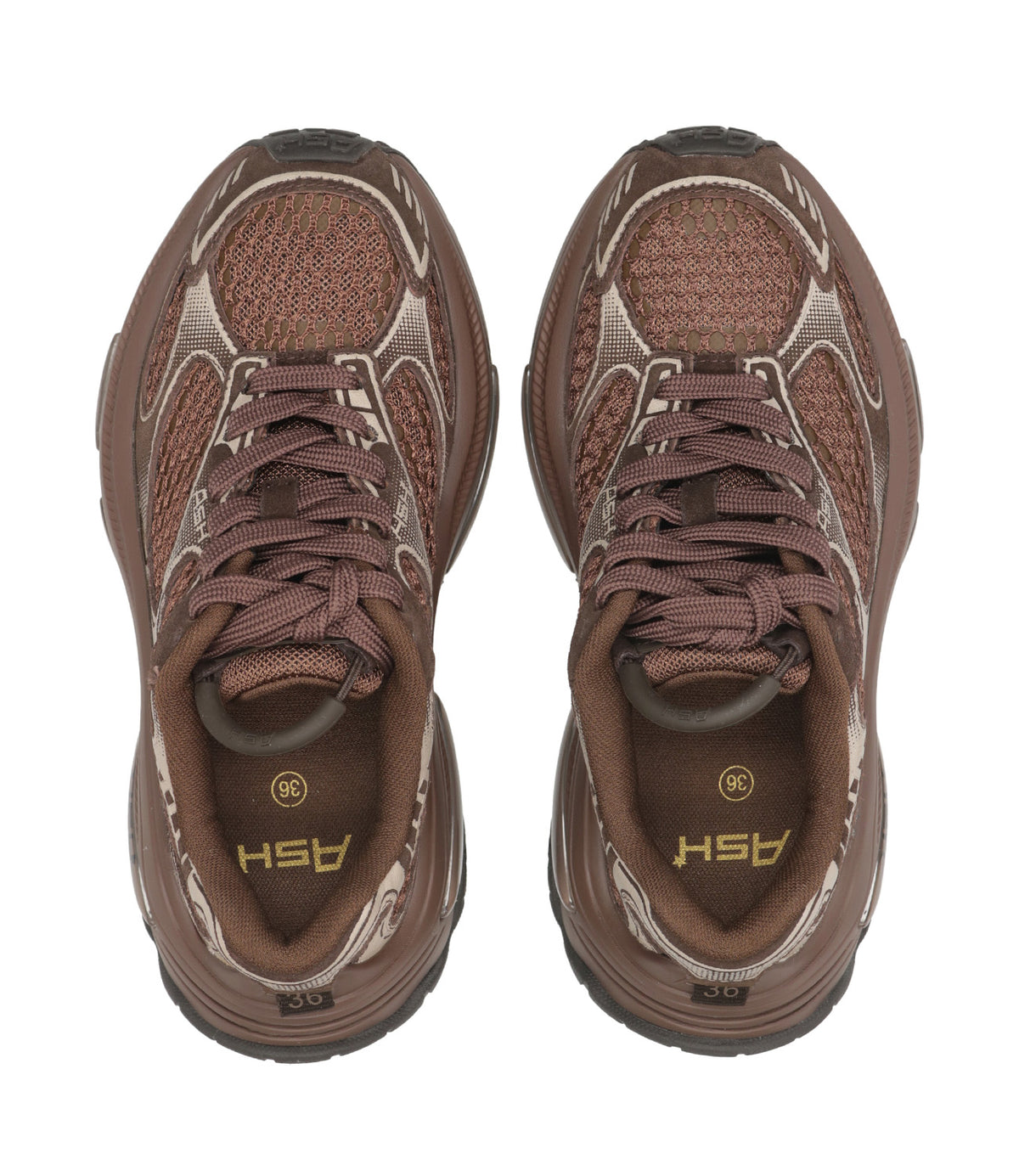 Ash Sport | Sneakers Dragon Moro Visone