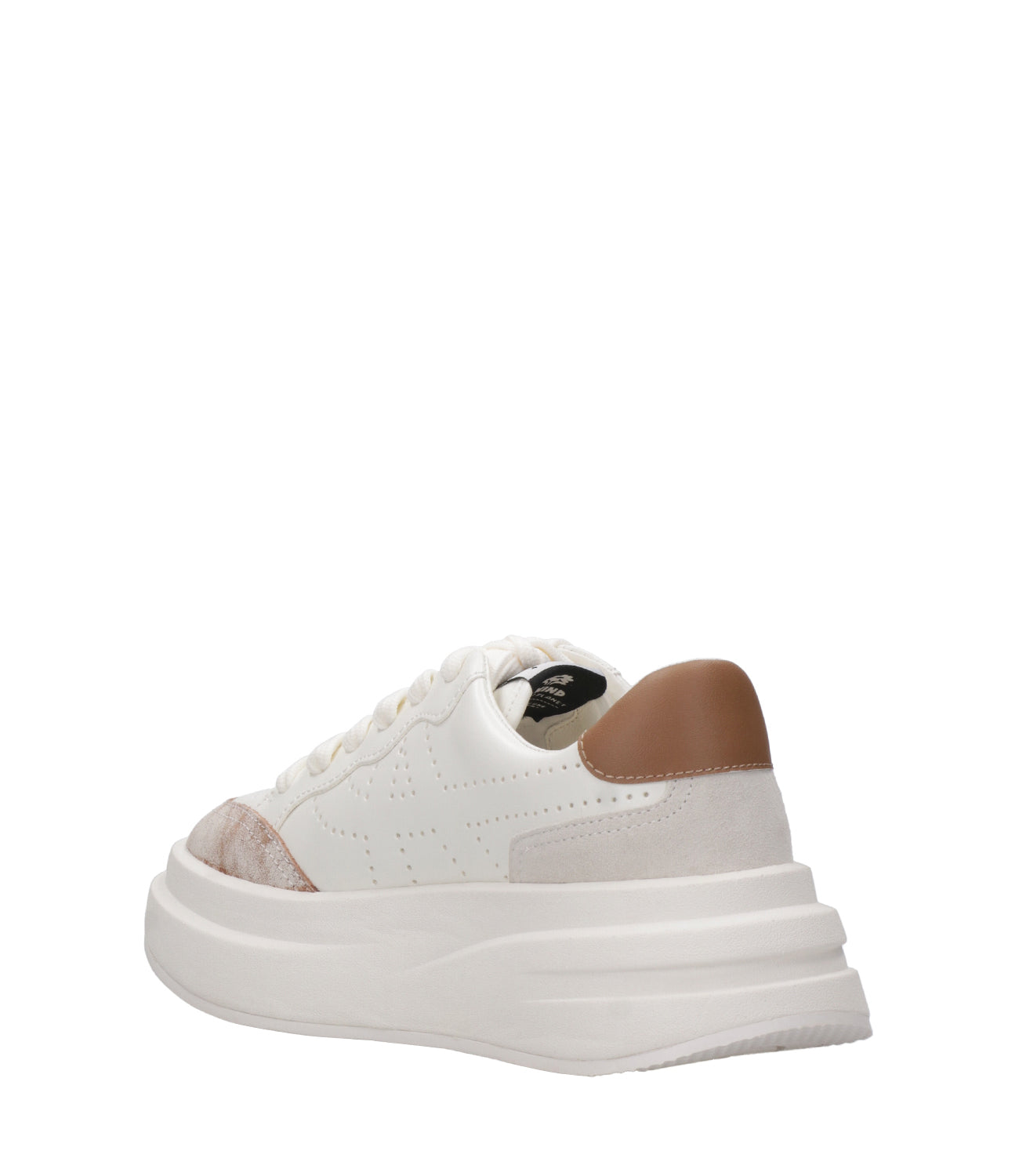 Ash Sport | White and Leather Sneakers