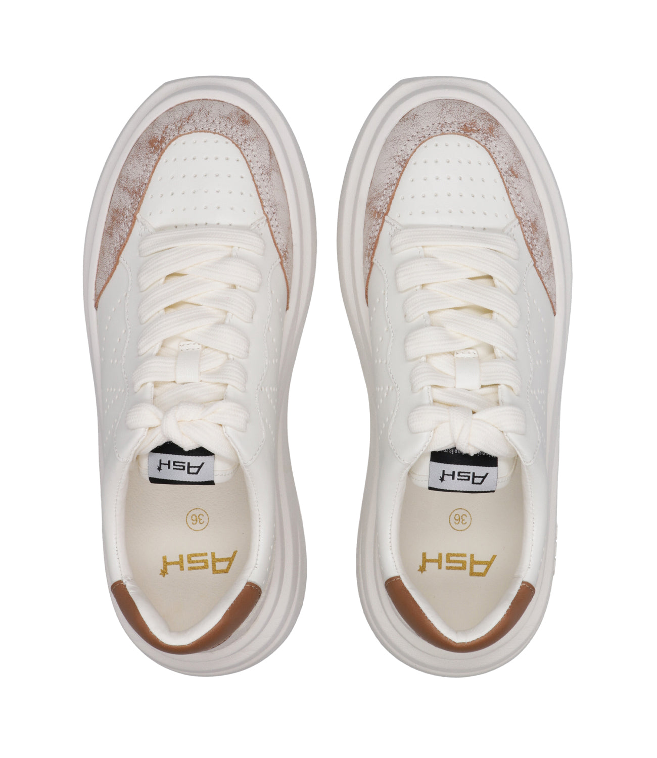 Ash Sport | White and Leather Sneakers