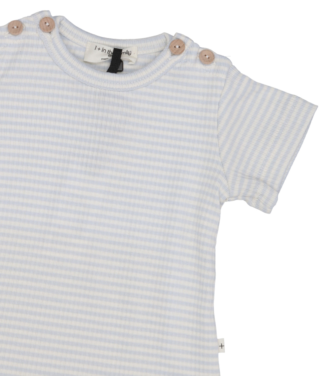 1+ in the family | Body Celeste