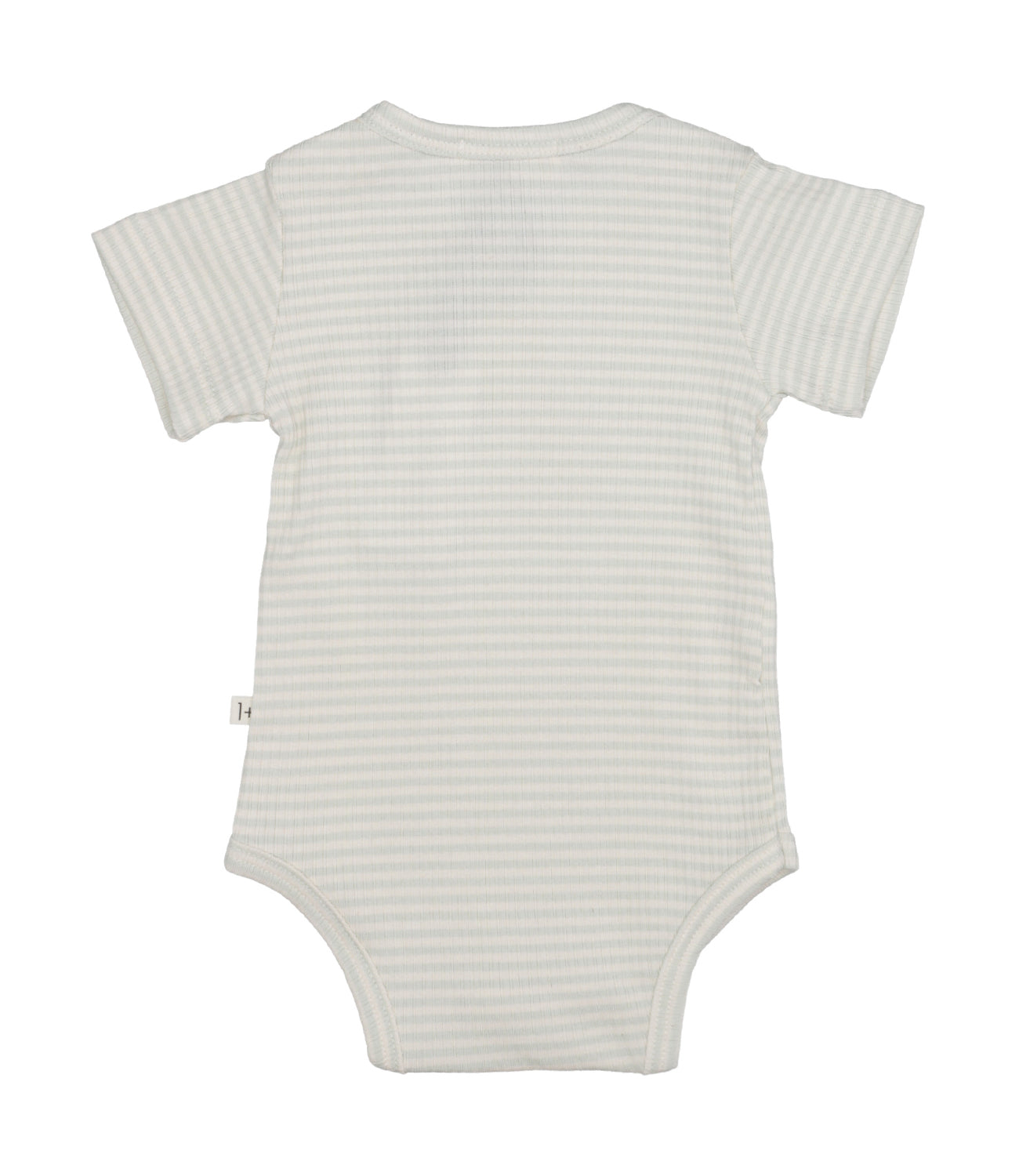 1+ in the family | Body Water Green