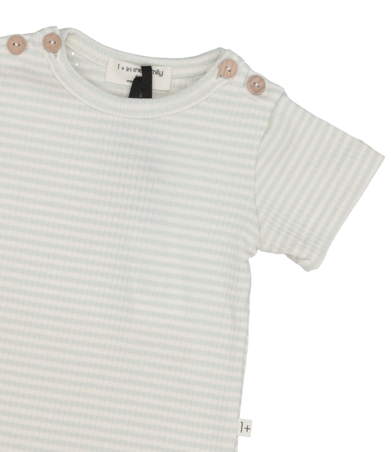 1+ in the family | Body Water Green