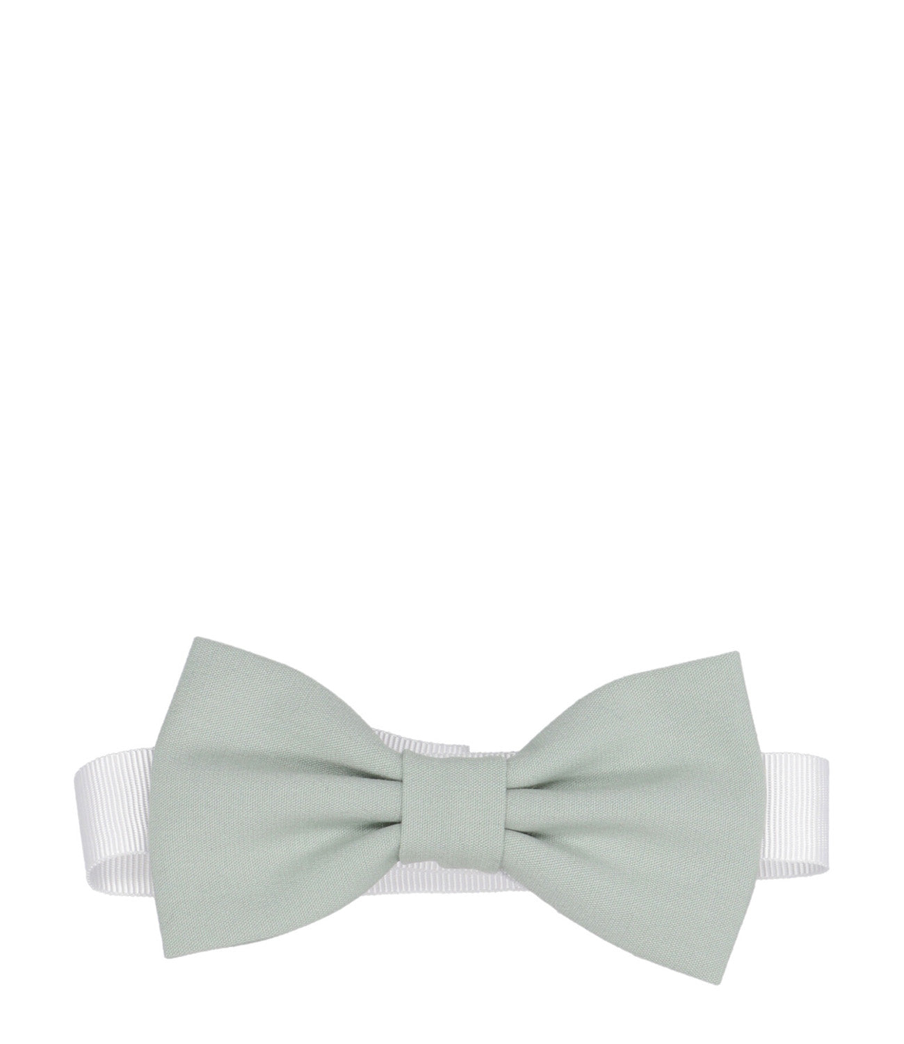 Carlo Pignatelli Junior | Papillon Pistachio