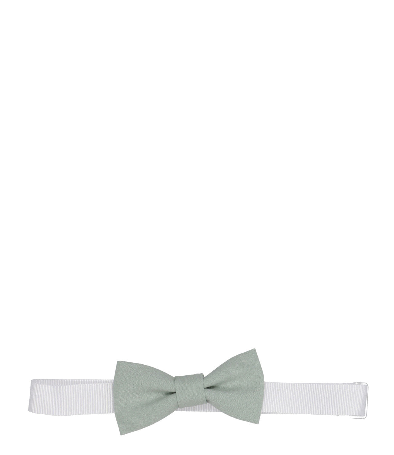 Carlo Pignatelli Junior | Green Papillon