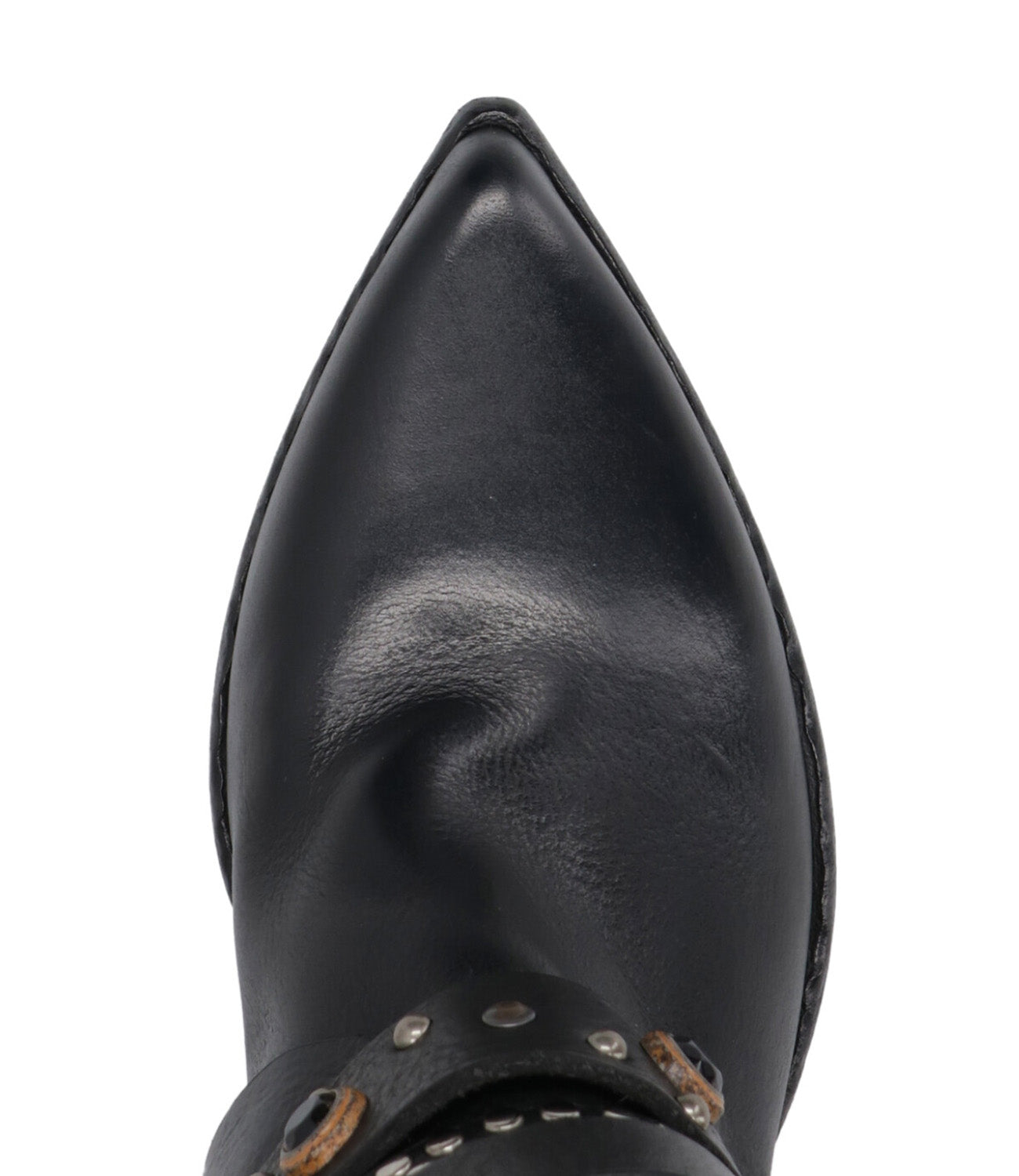 Elena Iachi | Tronchetto Nero