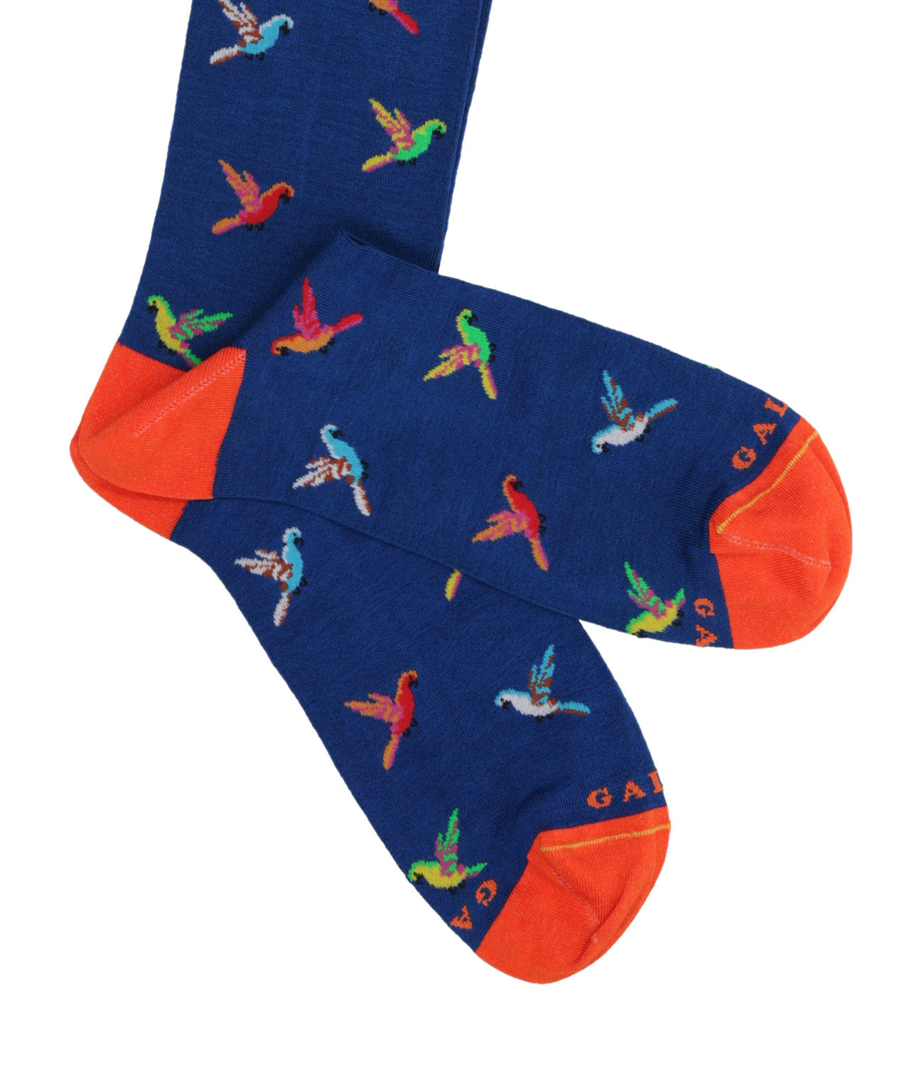 Rooster | Dark Blue Socks