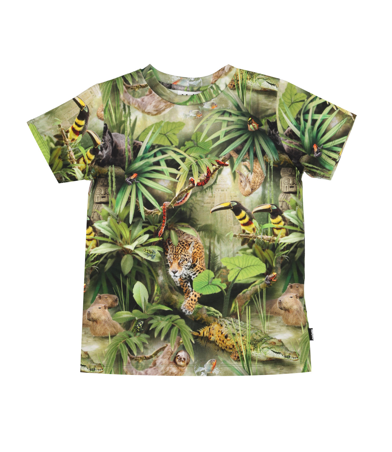 Molo | Ralphie T-Shirt Green