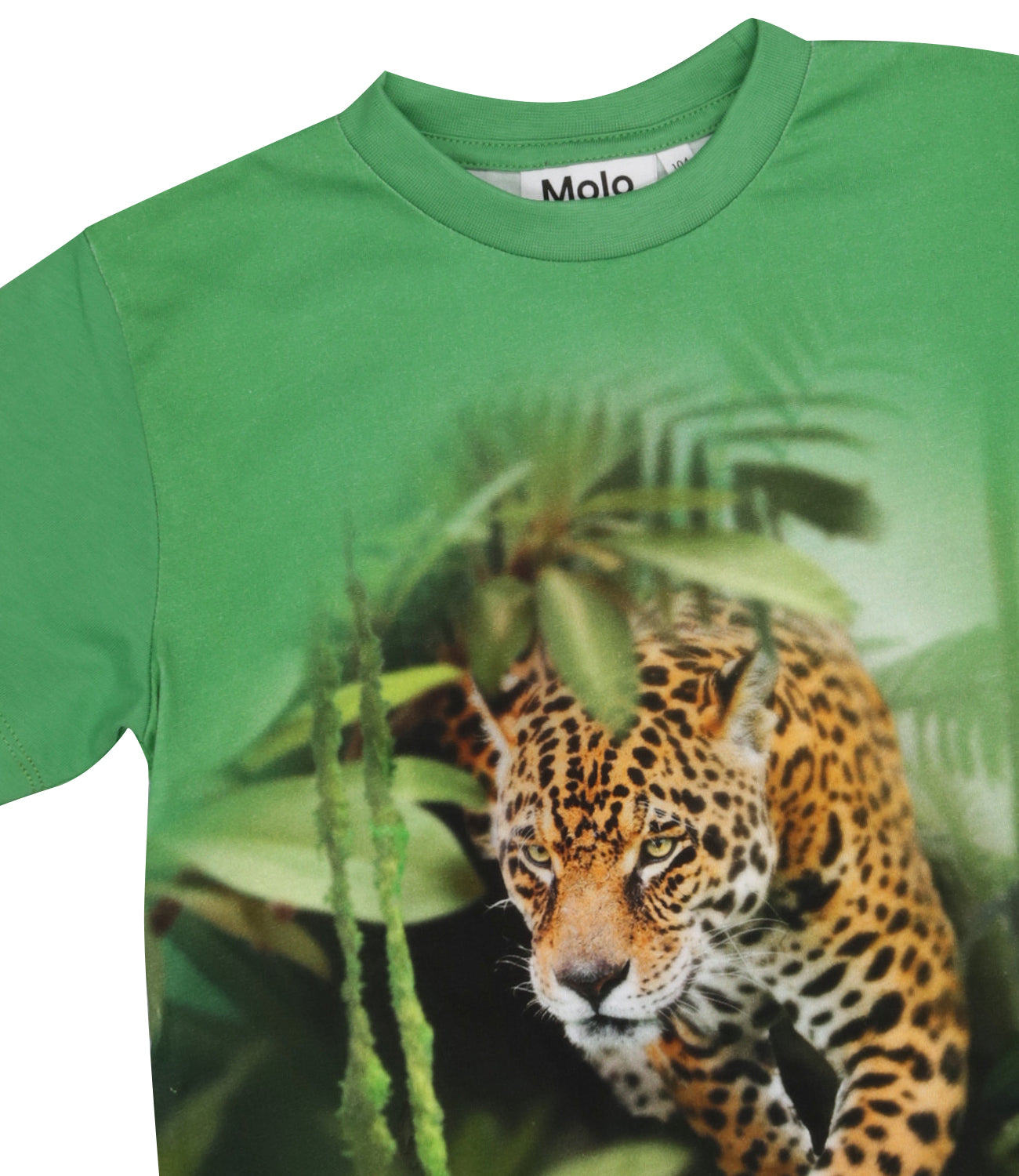 Molo | T-Shirt Riley Verde bandiera