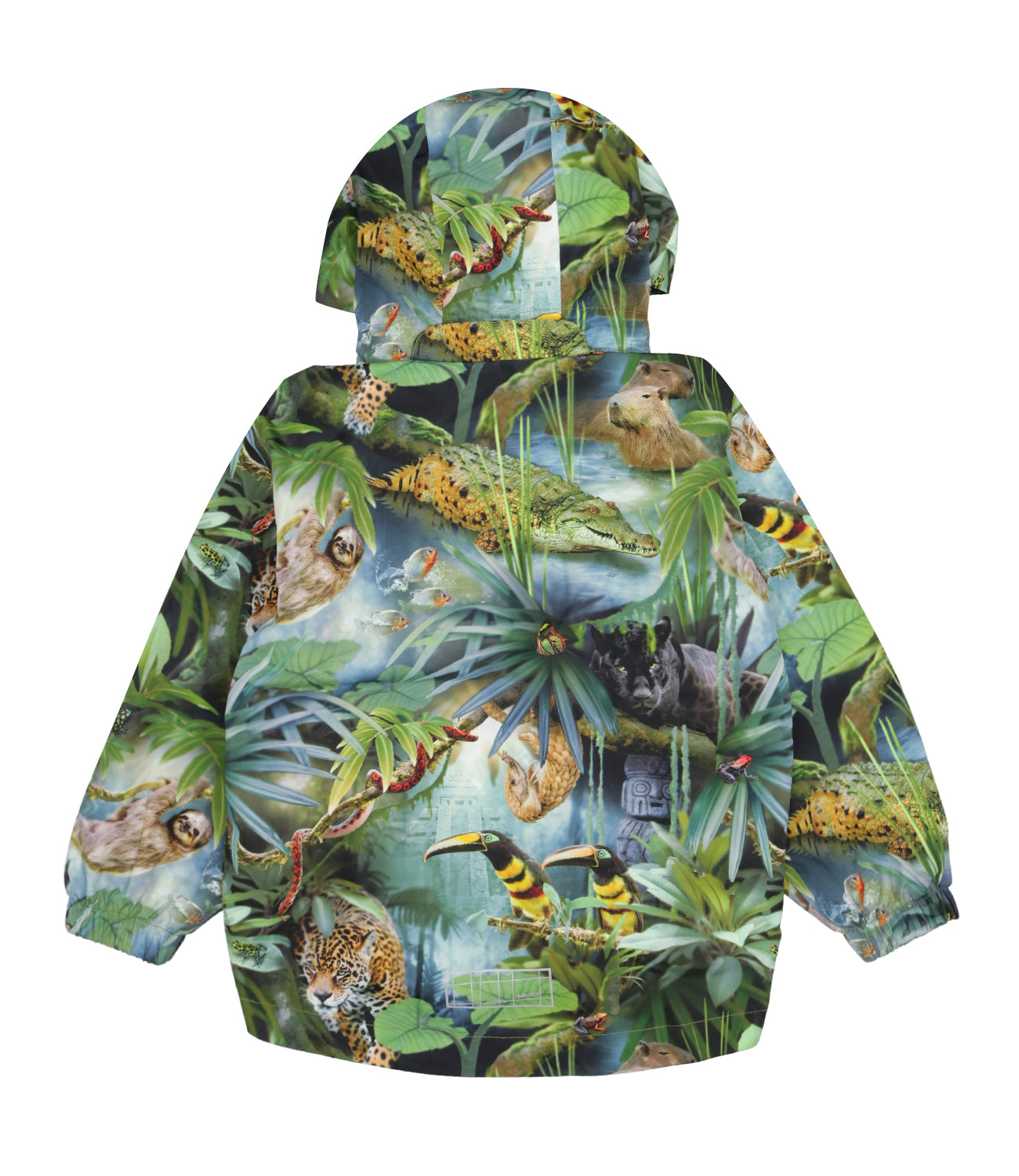 Molo | Waiton Jacket Green