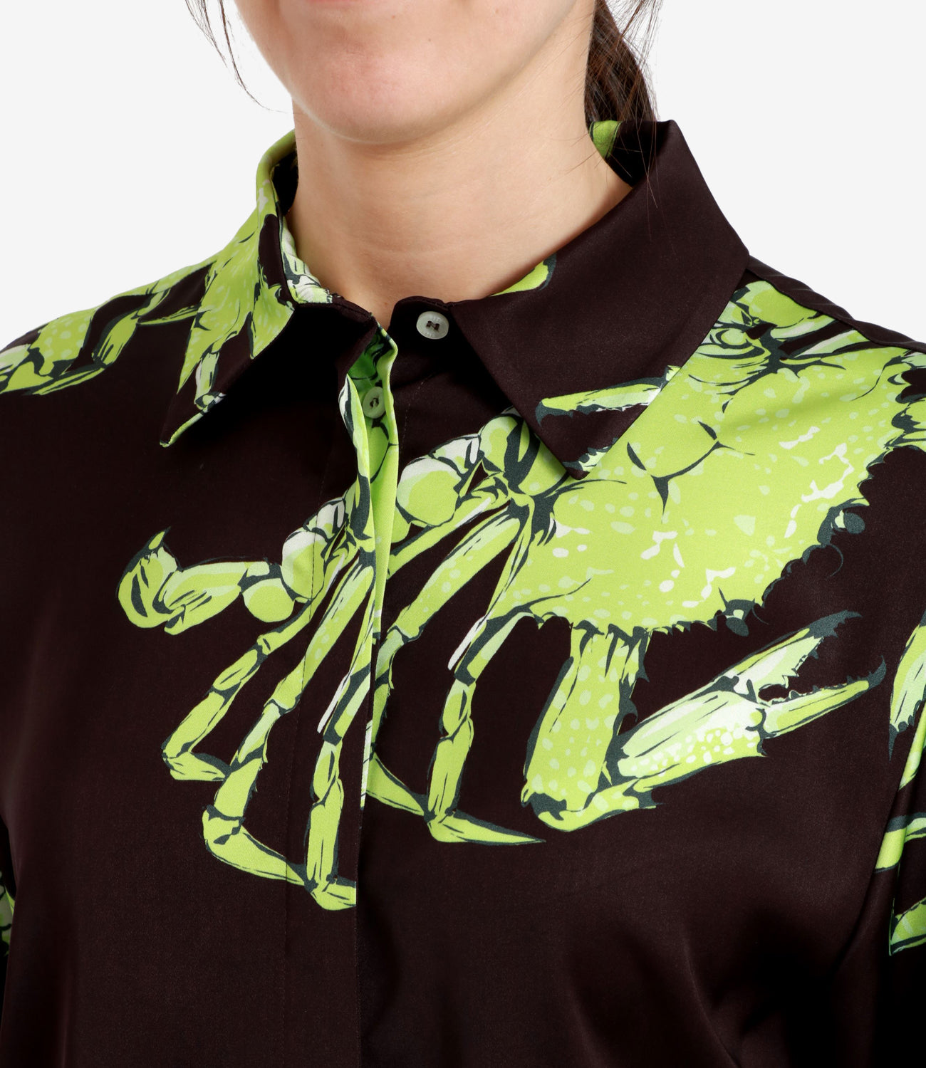 MSGM | Camicia Marrone scuro