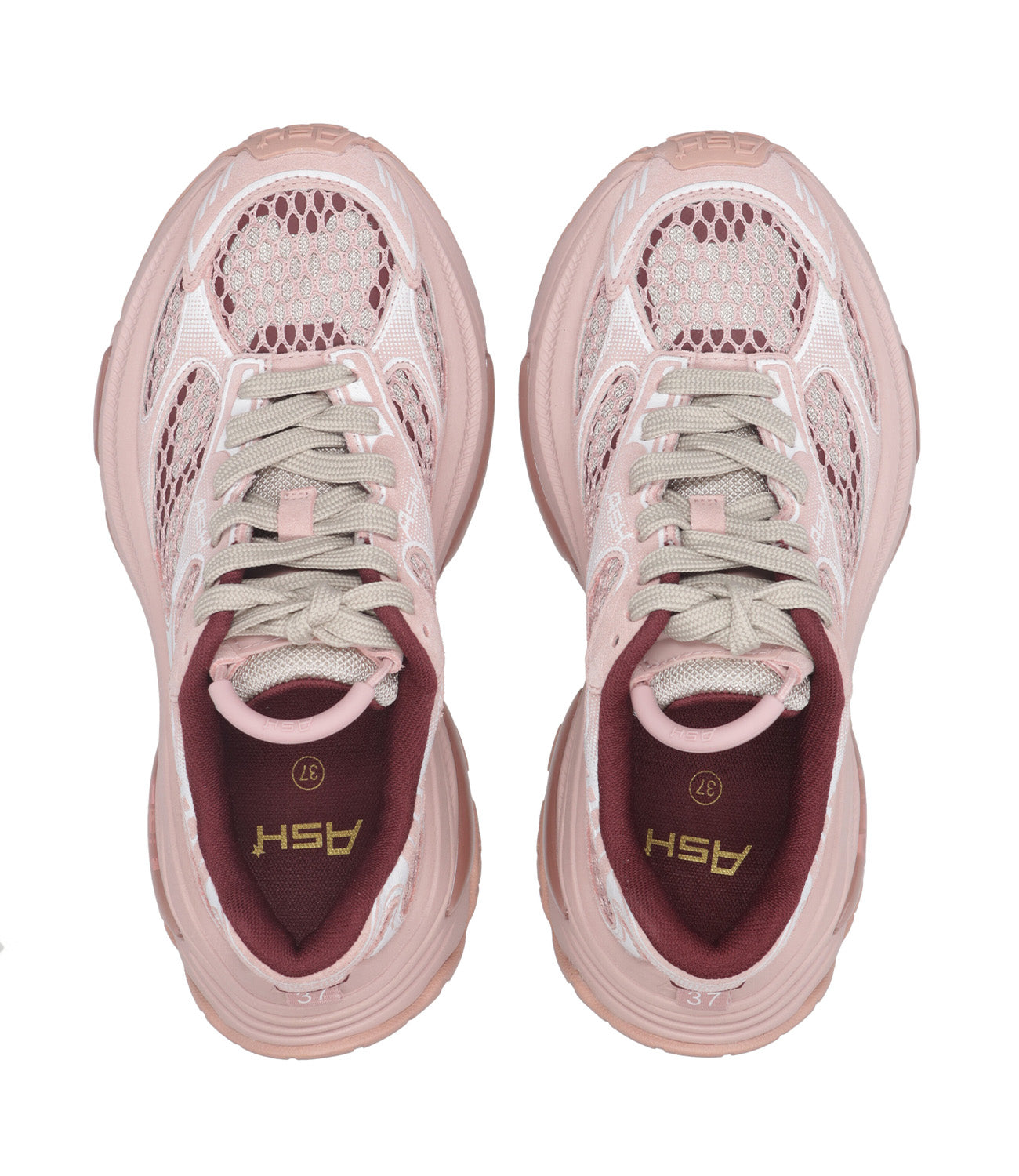 Ash Sport | Sneakers Dragon Rosa