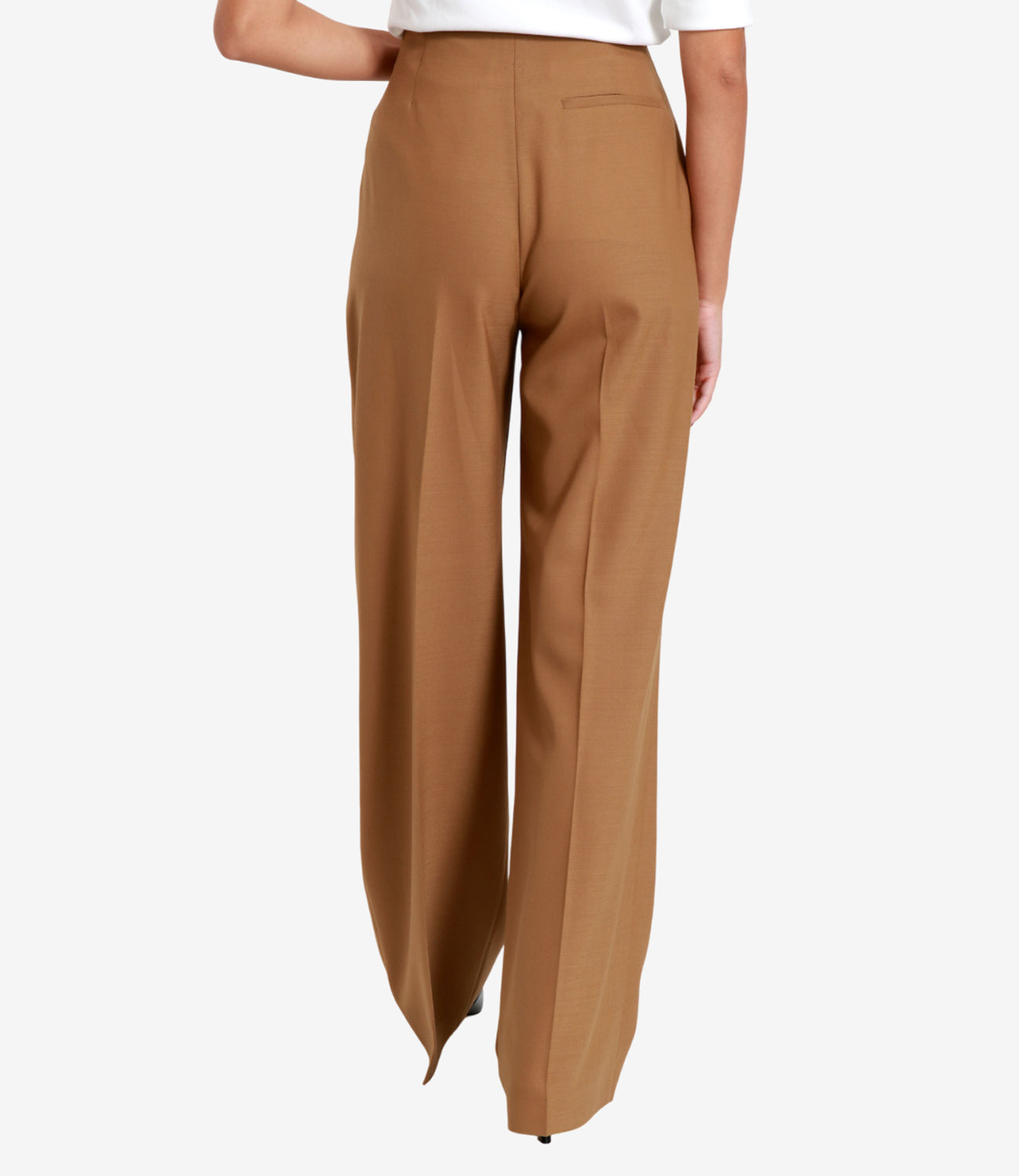 Alberta Ferretti | Pantalone Cammello