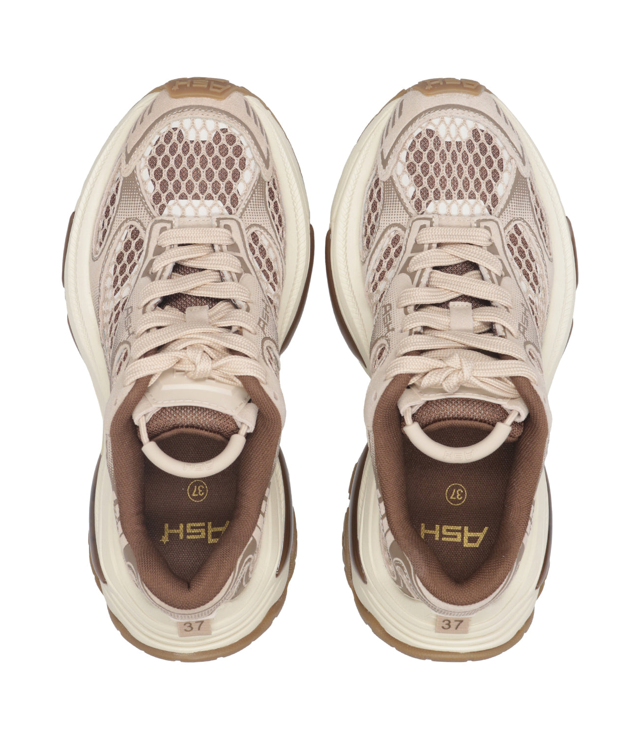 Ash Sport | Sneakers Dragon Taupe