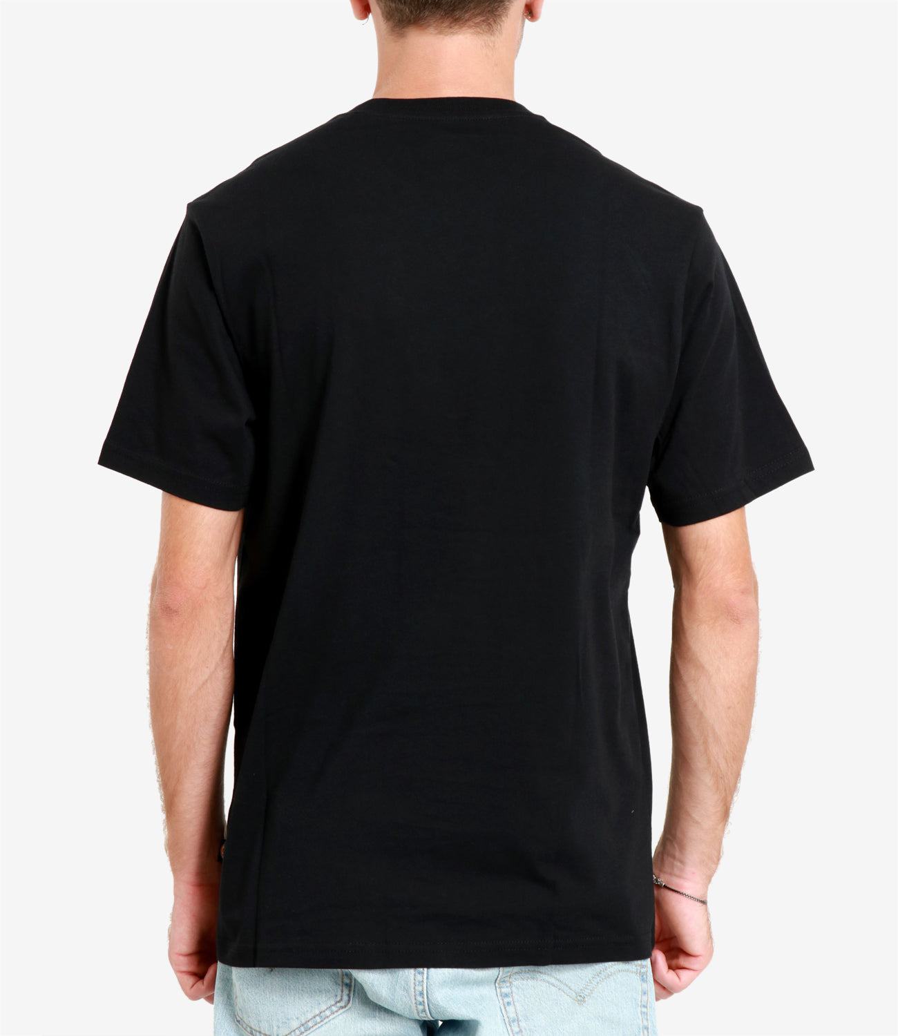 Dickies | T-Shirt Mapleton Nera