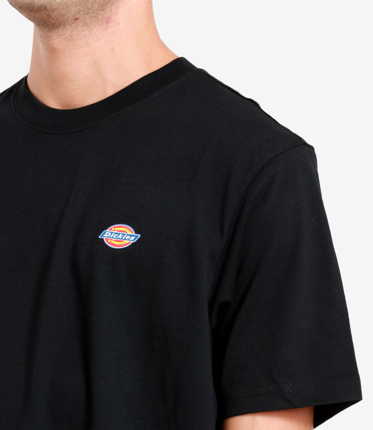 Dickies | T-Shirt Mapleton Nera
