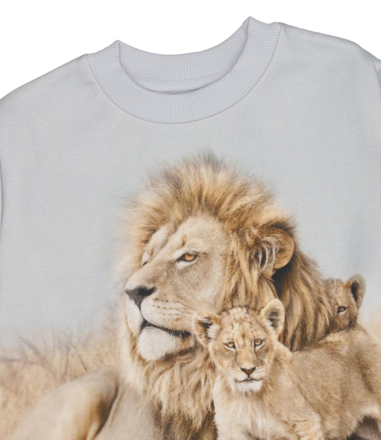 Molo | Felpa Perla e Taupe