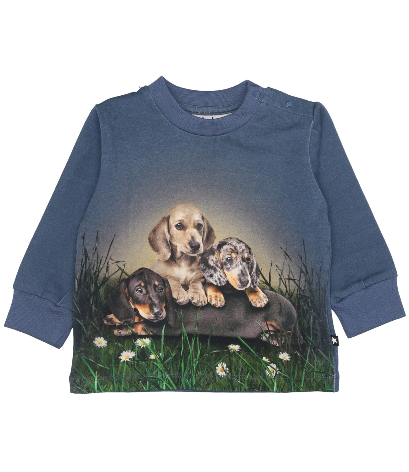 Molo | Felpa Polvere