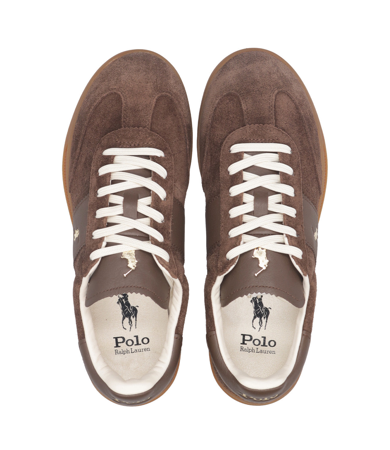 Polo Ralph Lauren | Sneakers Low Top Lace Cioccolato