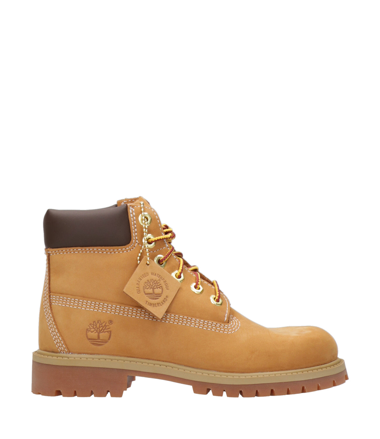 Timberland Kids | Anfibio Prem 6 In Lace Waterproof Beige