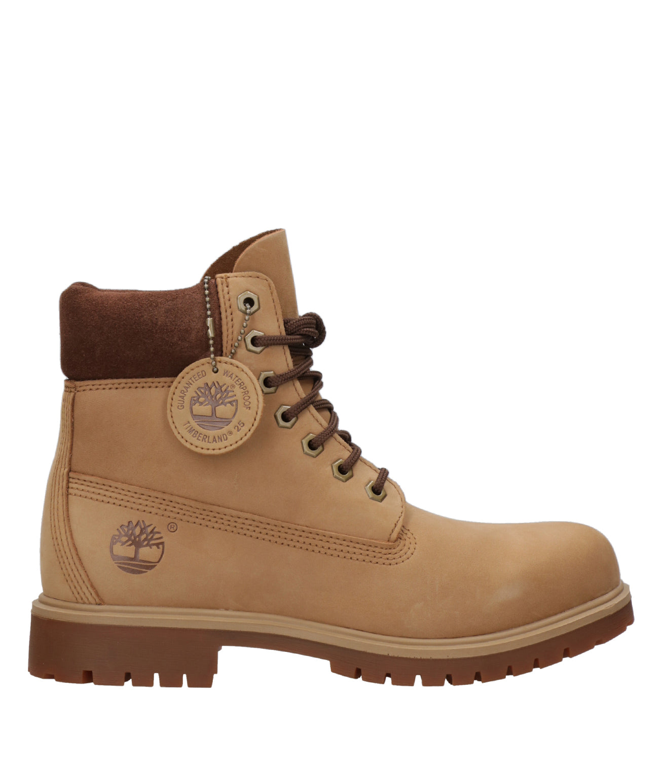 Timberland | Anfibio Tb25 6 In Lace Waterproof Cammello