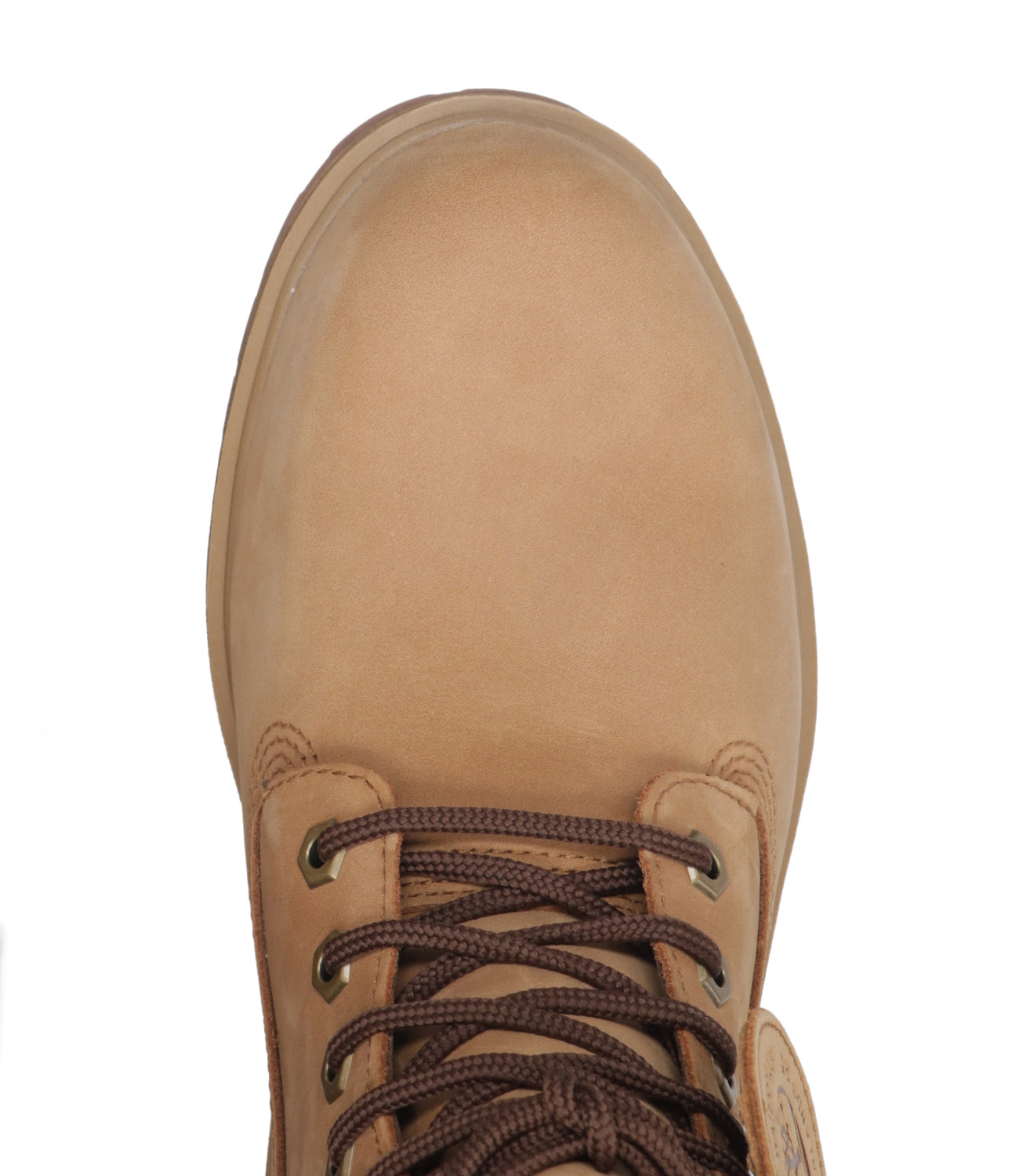 Timberland | Anfibio Tb25 6 In Lace Waterproof Cammello