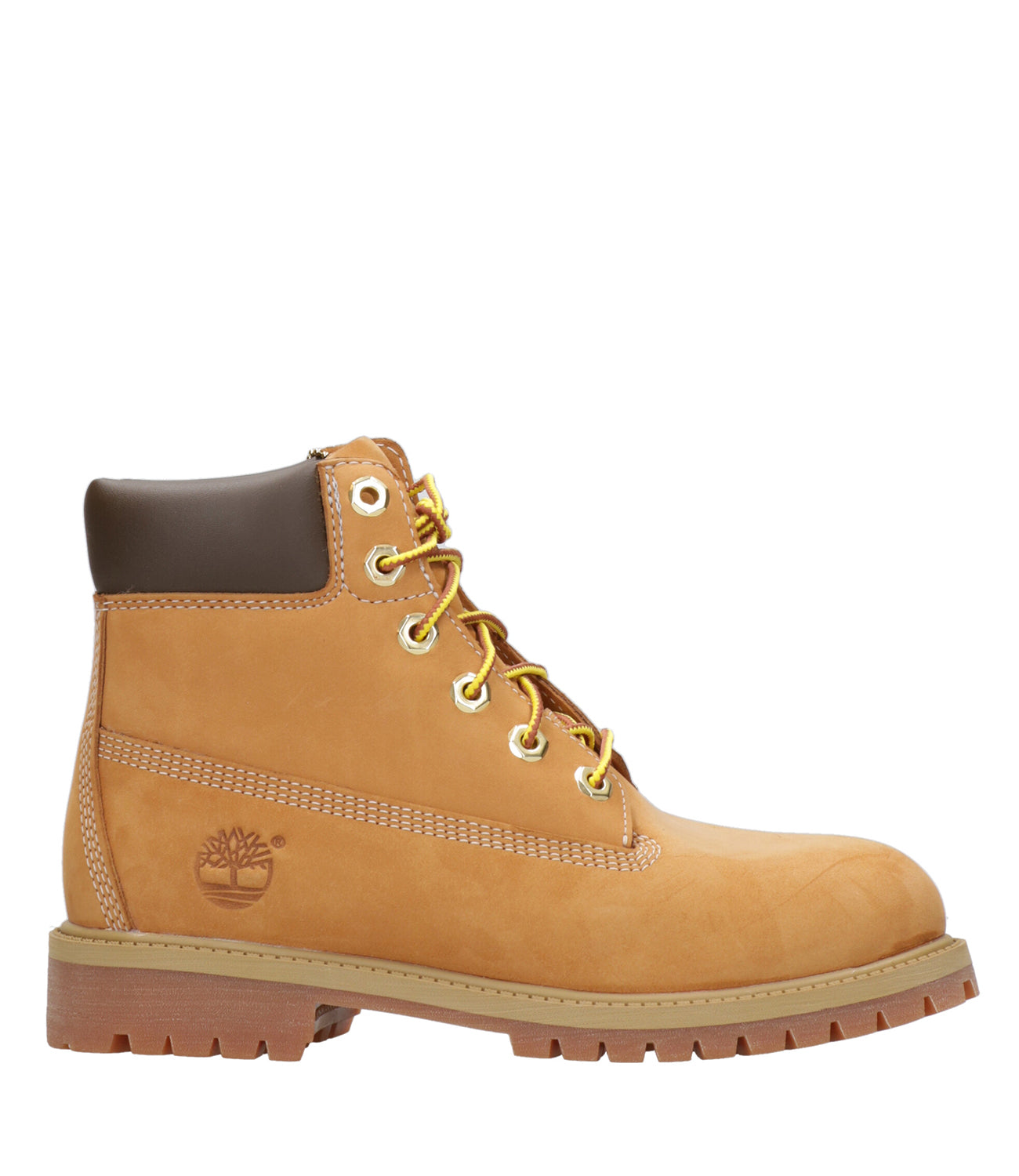 Timberland | Anfibio Prem 6 In Lace Waterproof Beige