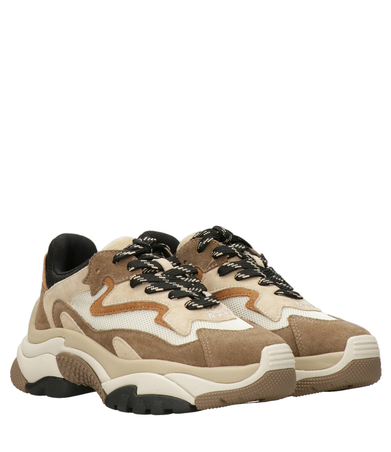 Ash Sport | Sneakers Addict Cappuccino