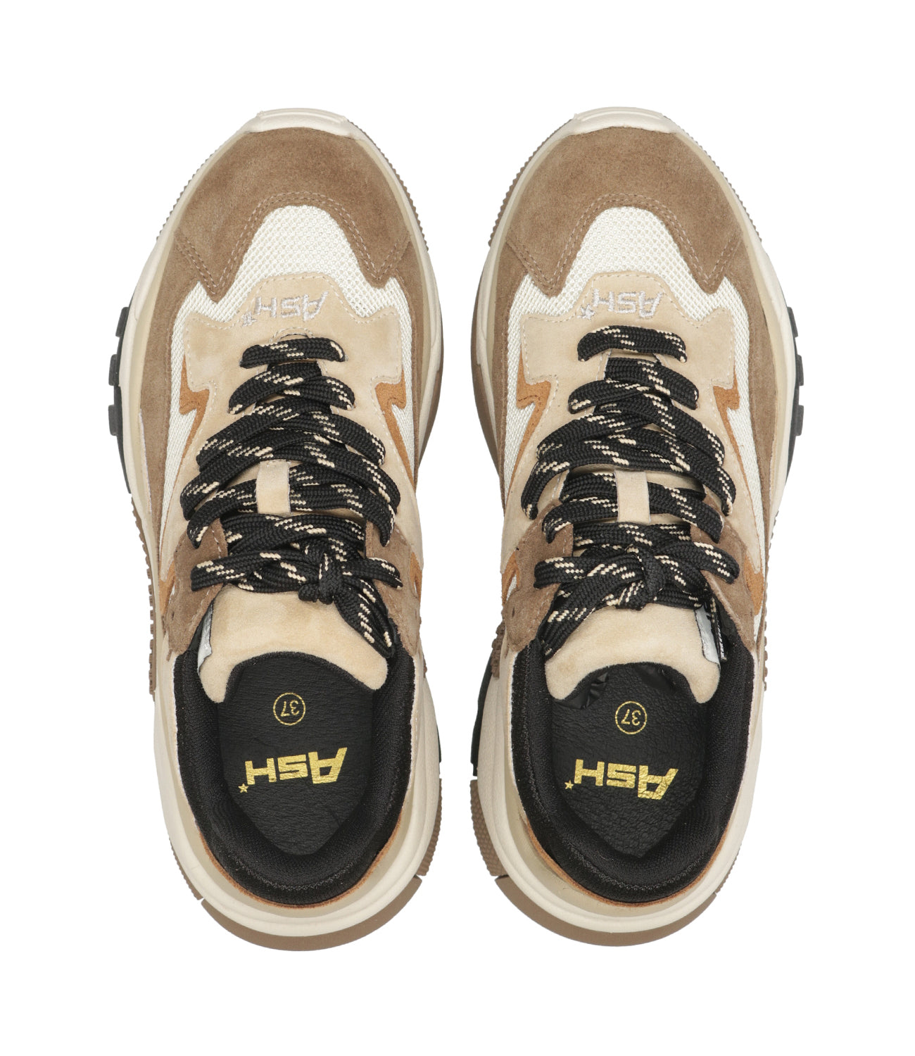 Ash Sport | Sneakers Addict Cappuccino