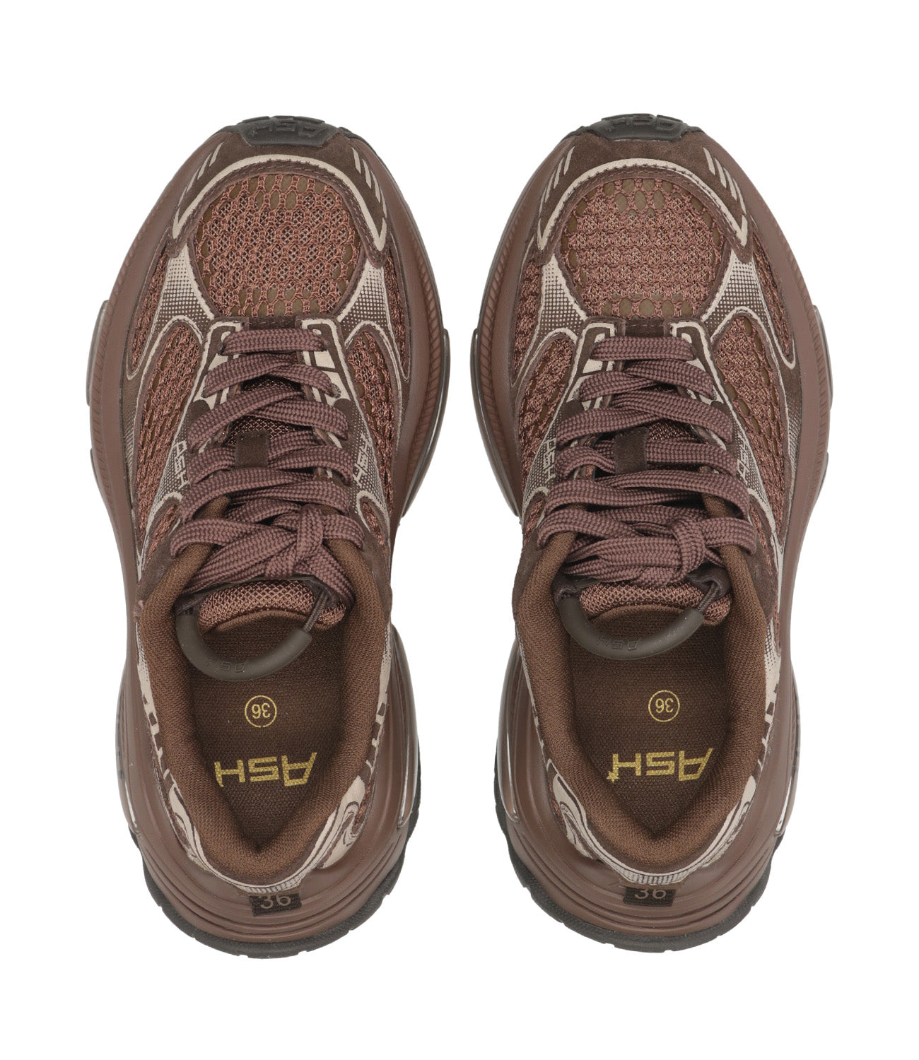 Ash Sport | Sneakers Dragon Moro Visone