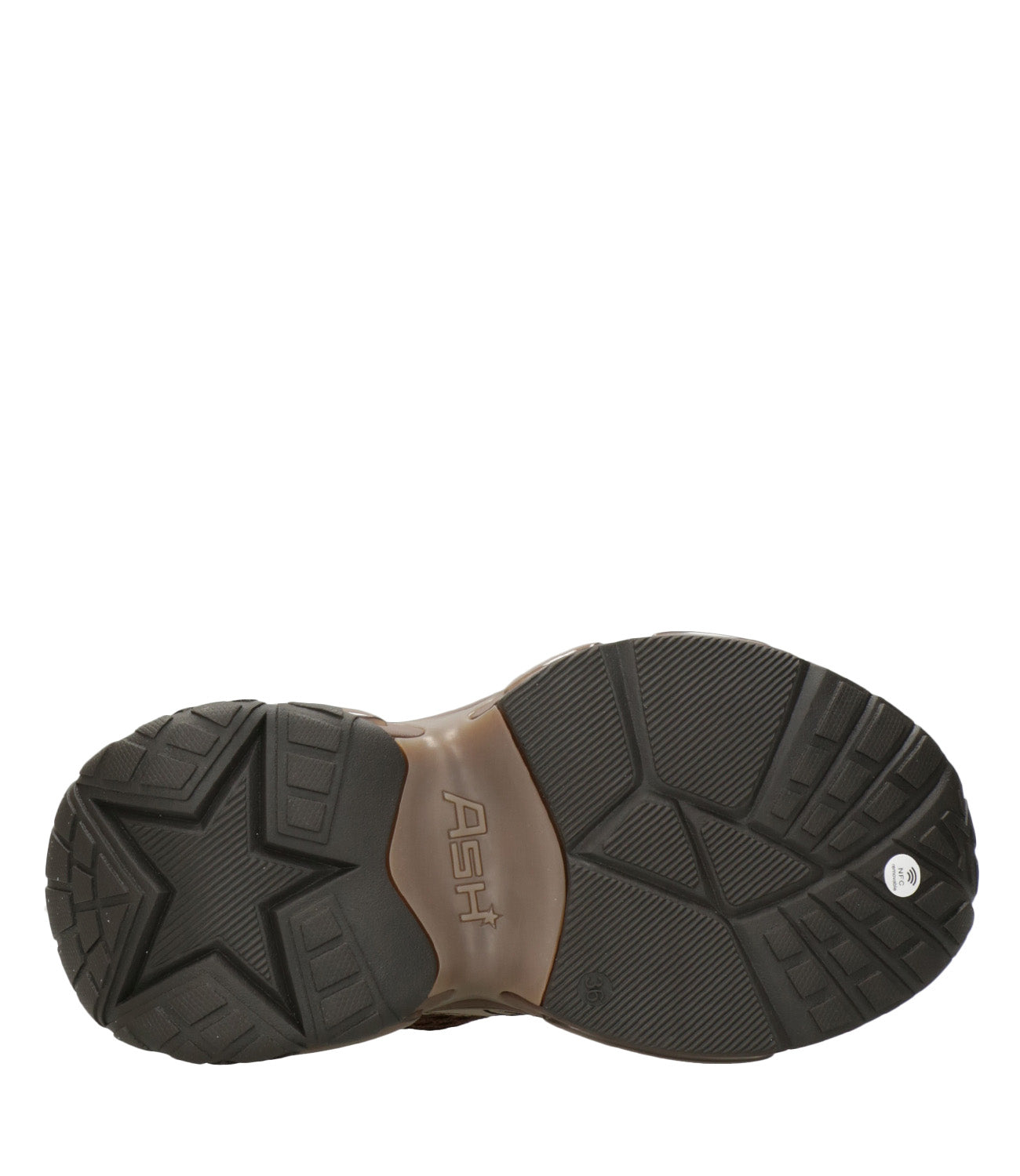 Ash Sport | Sneakers Dragon Moro Visone
