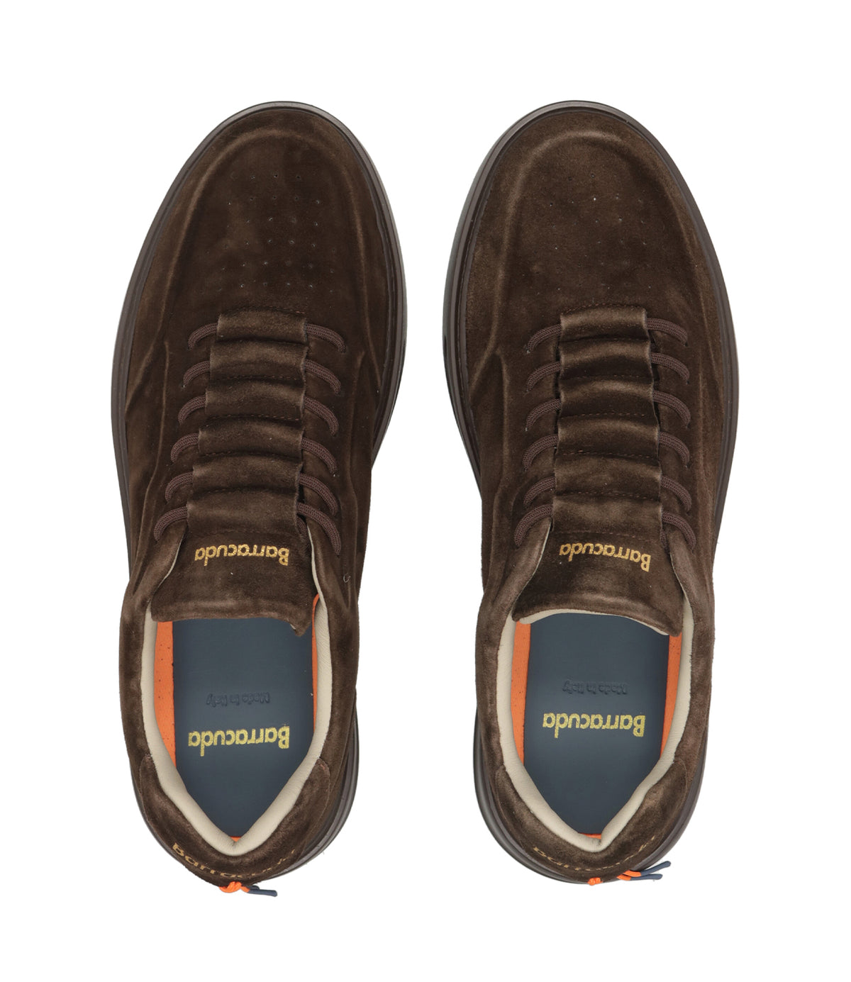 Barracuda | Sneakers Phoenix Marrone