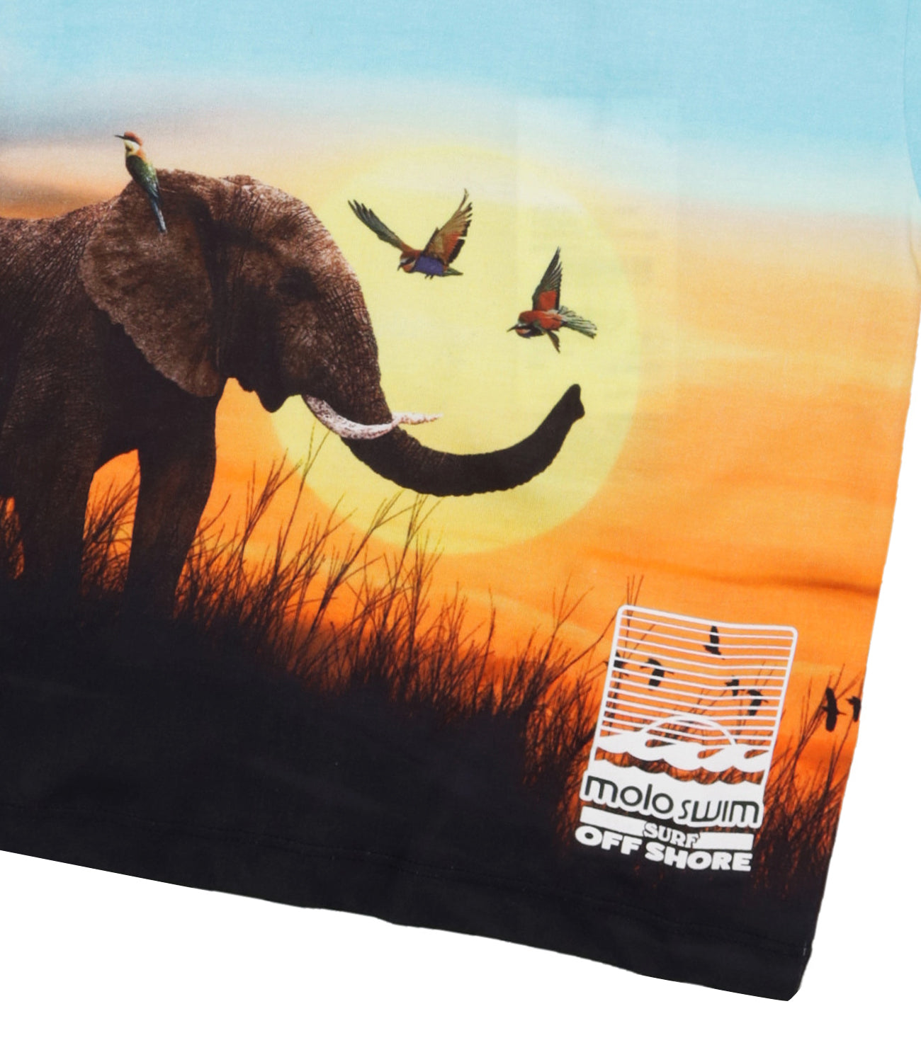 Molo | T-Shirt Raul Azzurro